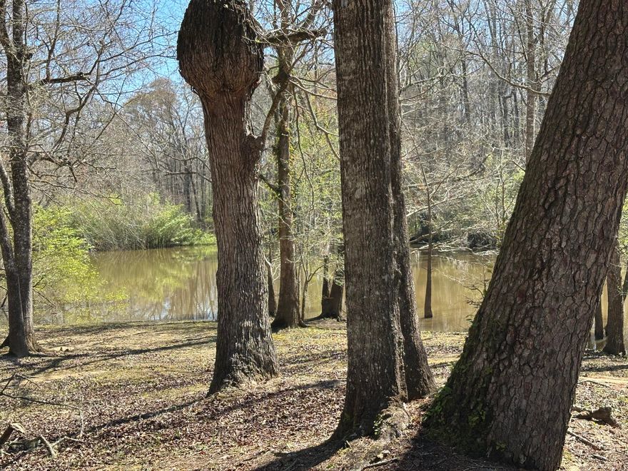 Escape to the quiet beauty of northwest Florida with this approximately 0.6-acre parcel in Coon Bottom Estates. Located just minutes from the tranquil waters of Lake Berrian, this lot offers a great opportunity for a peaceful getaway, weekend retreat, or future homesite.