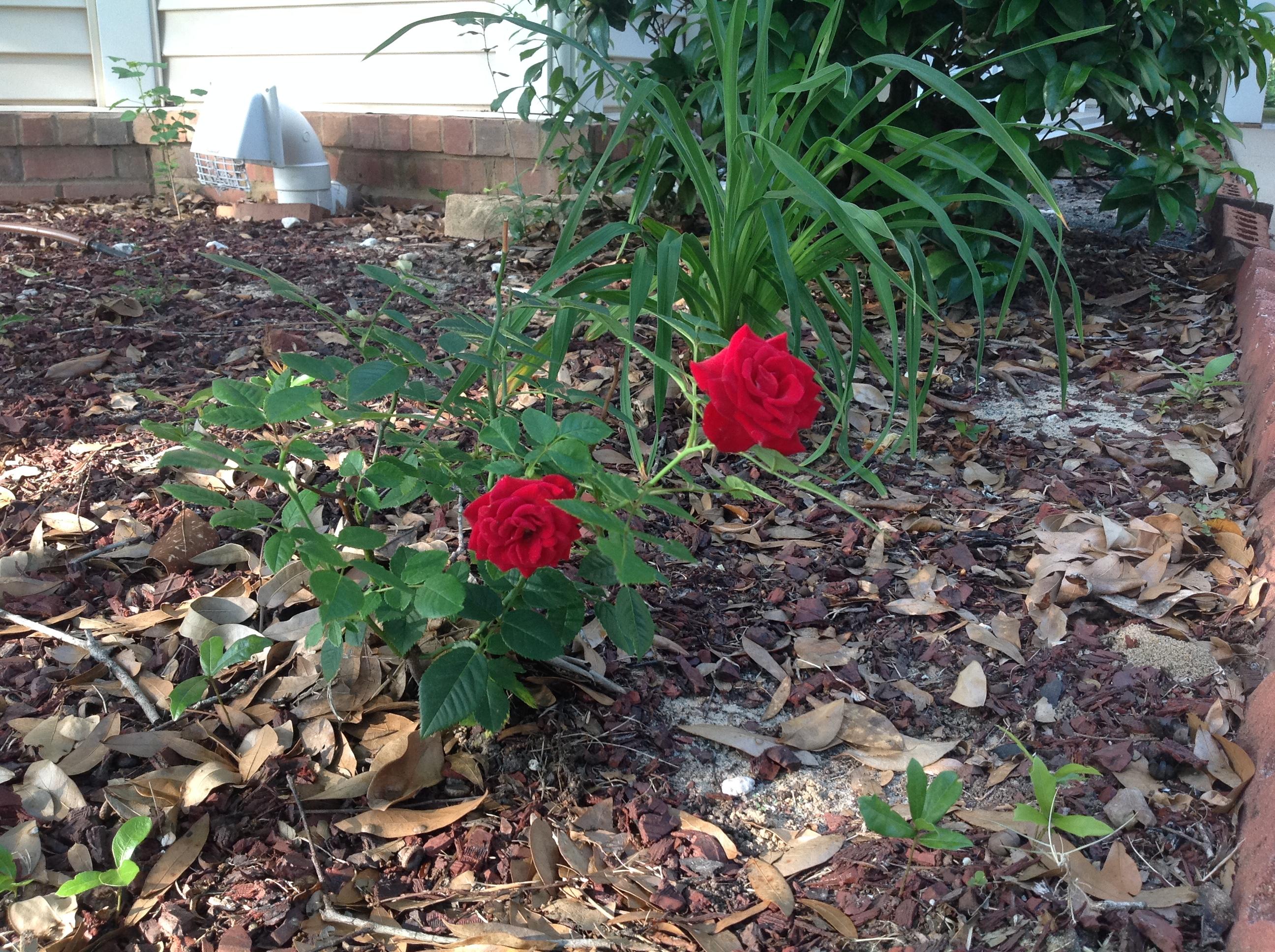 THE OAKS AT NICEVILLE PH II - Residential