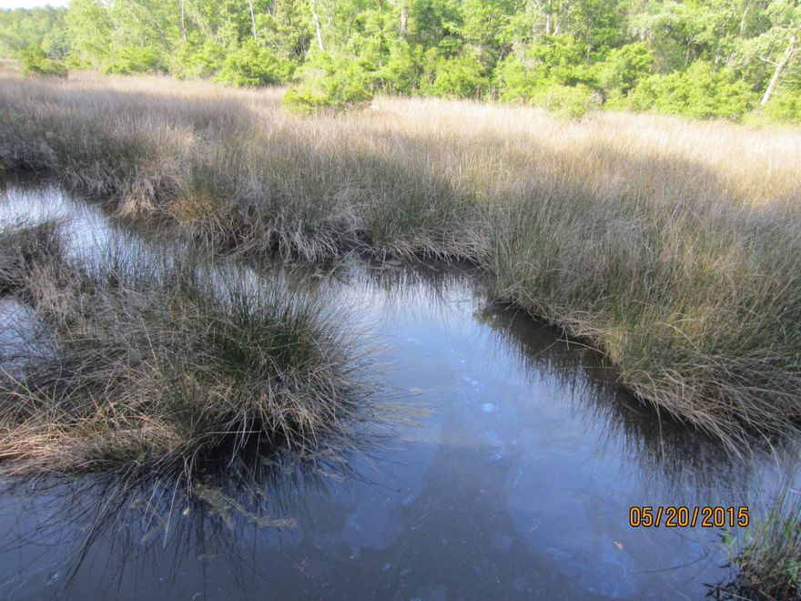 REDUCED.....REDUCED...REDUCED..Owner says sell. Beautiful trees and 99 feet of shallow water frontage on Mallet Bayou Reach. Paved road frontage of 90 feet. Very nice building lot and only minutes from the Snow-White beaches of South Walton. Terrific location close to the new four-laned 331 bridge. Peaceful location yet so close to the action of South Walton. Bring your boat. Build that dock and enjoy the pleasures of Mallet Bayou and the Choctawhatchee Bay. No build-out time requirement and no HOA. Beautiful homesite. This .55 of an acre lot cannot be replicated in this area at this price point. Don't miss out on this terrific investment or homesite. Nice homes in the area and a new house is now under construction next door on Lot 11.