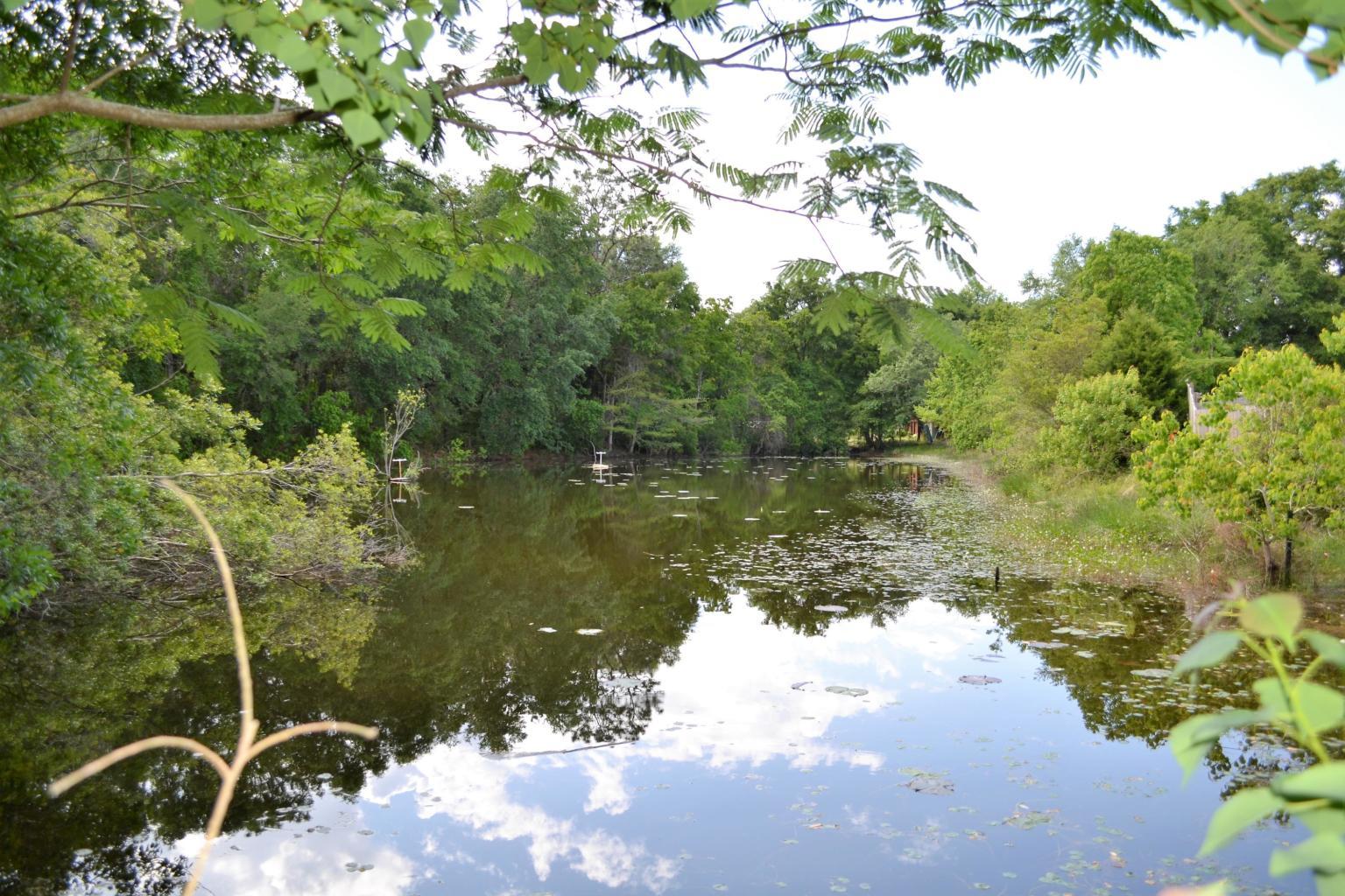 Woodlands of Whispering Pines - Residential