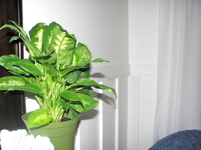 HIDDEN COVE T/H - Residential