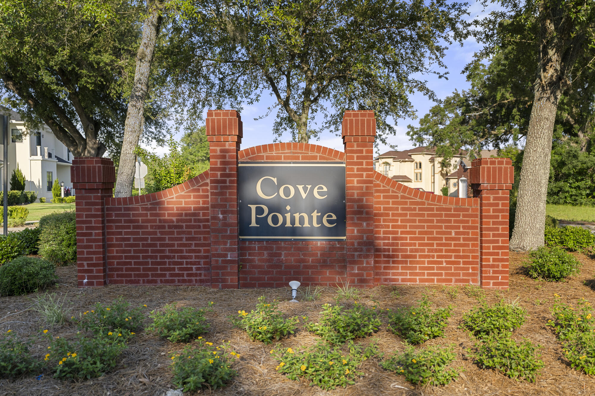 Cove Pointe - Land