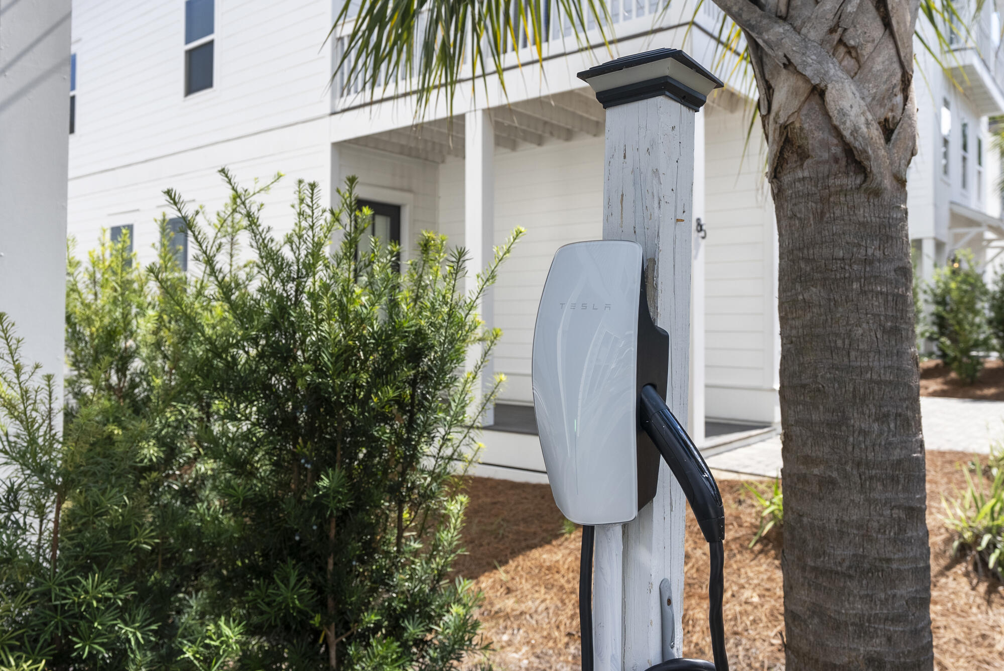 Ivy at Inlet Beach - Residential Lease