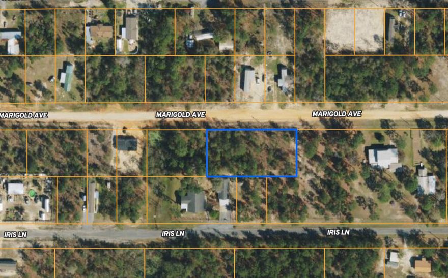 3 adjoining .23 ac lots on E Marigold Ave. Buy 1 or all 3 lots! Each lot can have 1 Mobile home.  Great location in growing Mossy Head. Mobile/manufactured homes allowed. Public water is available through Mossy Head Water Works (tap fee not paid); Power available on street; Septic would be required.
