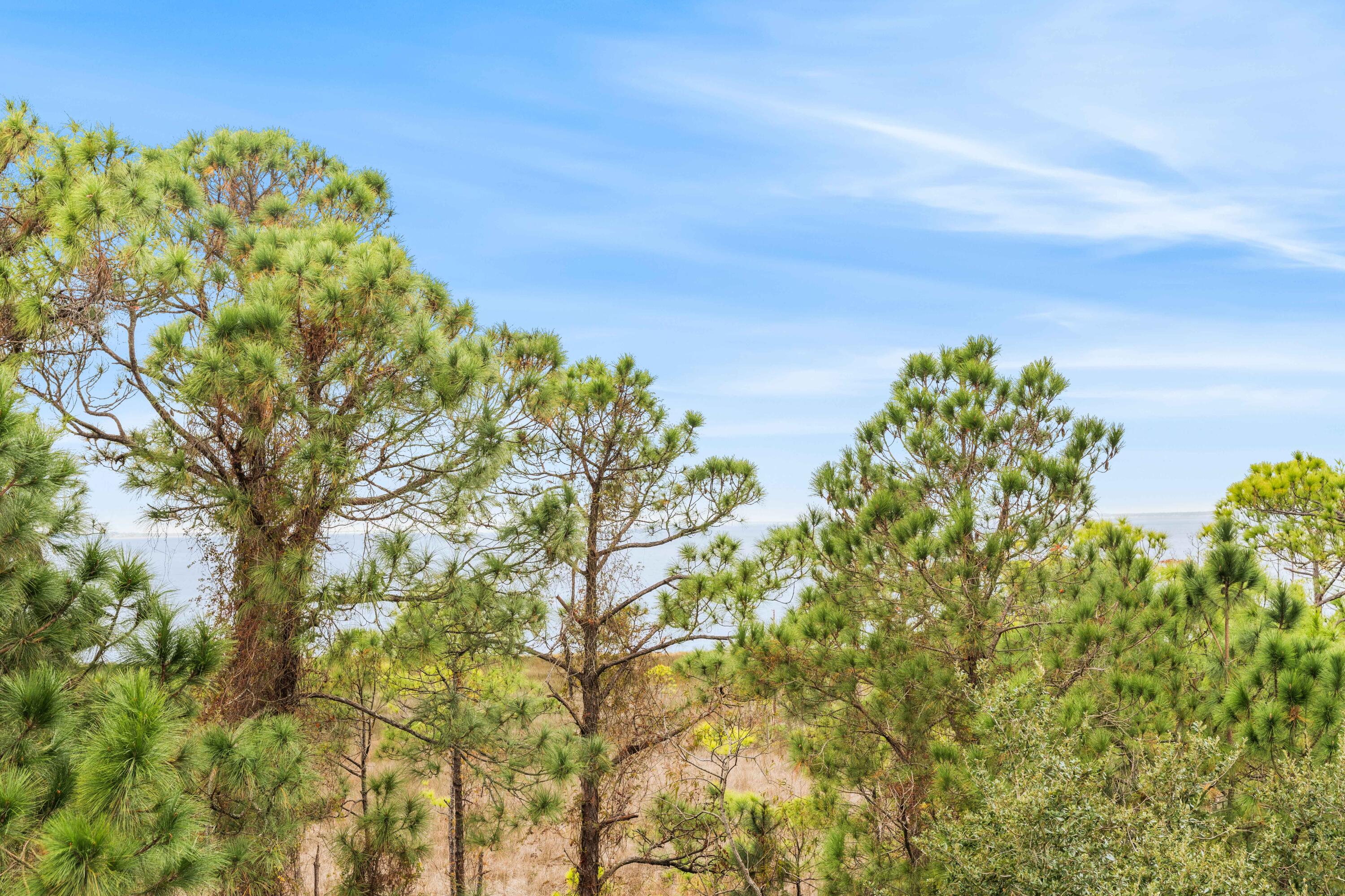 ELATION - Residential