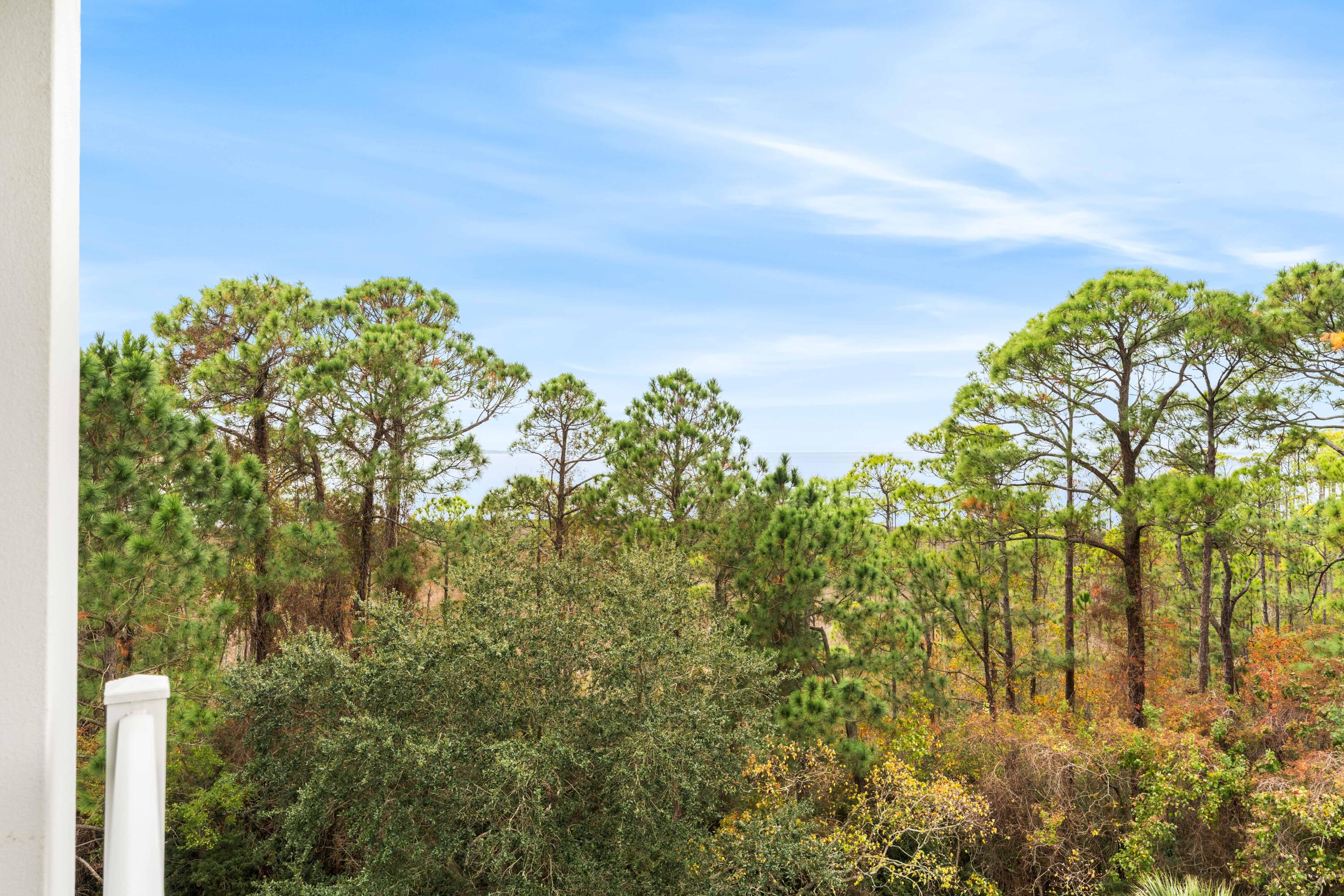 ELATION - Residential