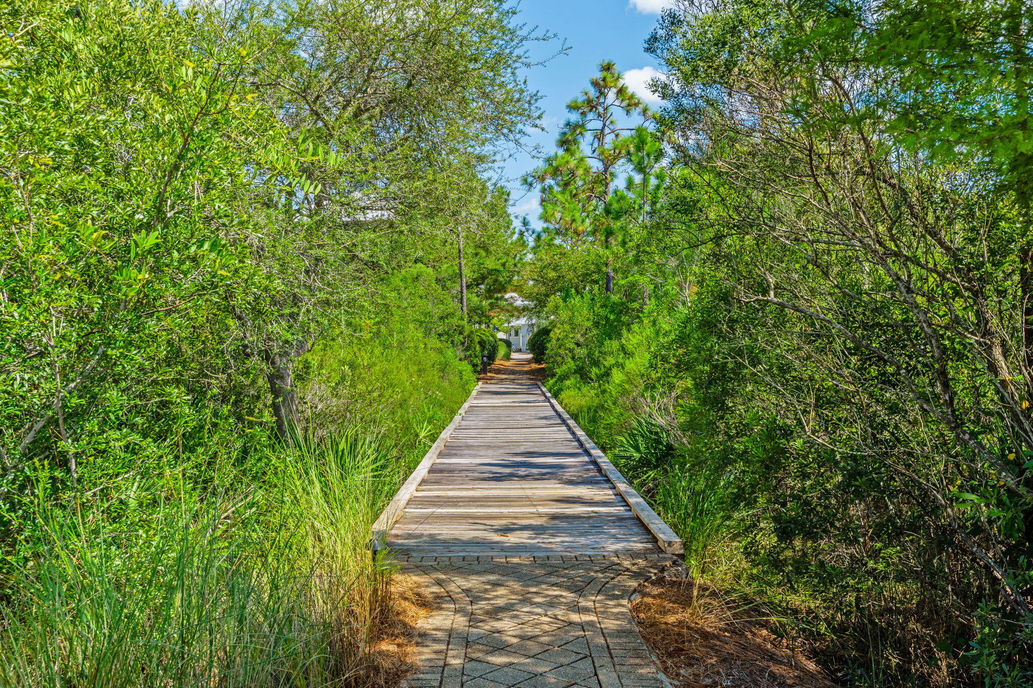 NATUREWALK AT SEAGROVE - Residential
