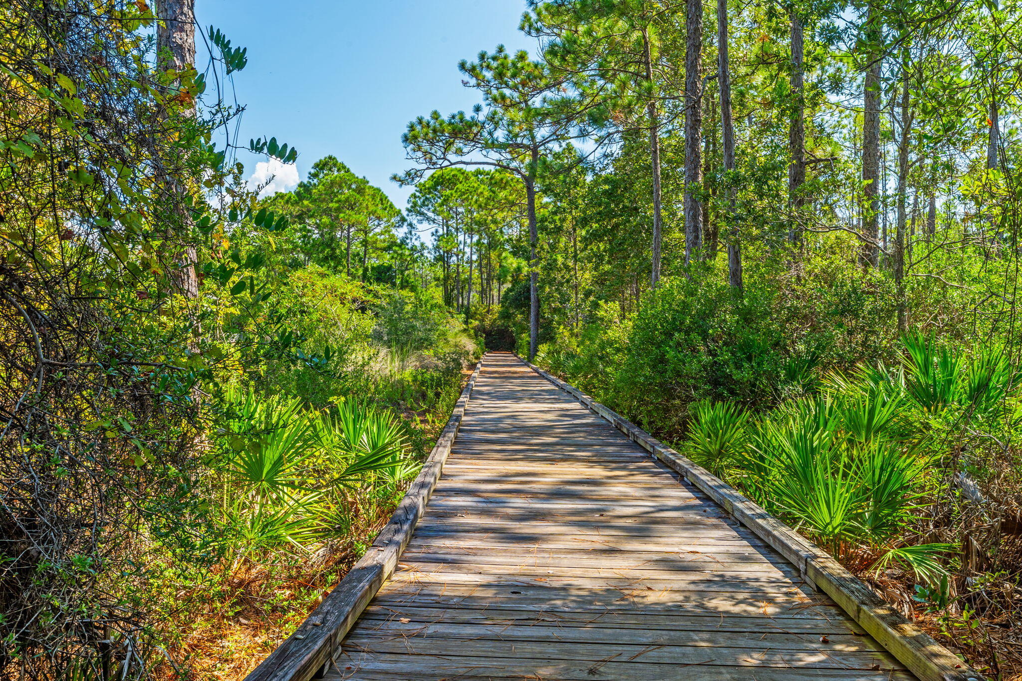 NATUREWALK AT SEAGROVE - Residential