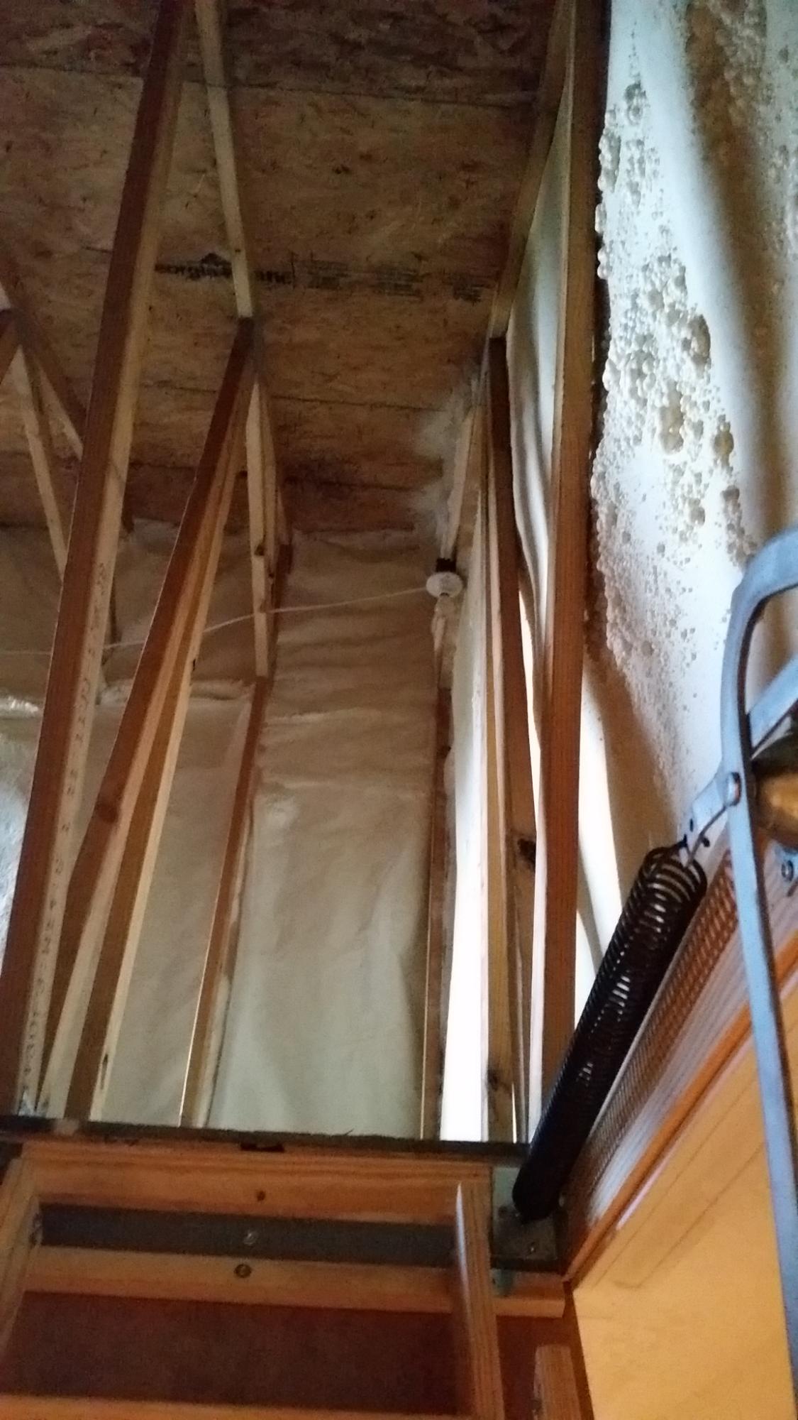 Topsail Walk - Residential