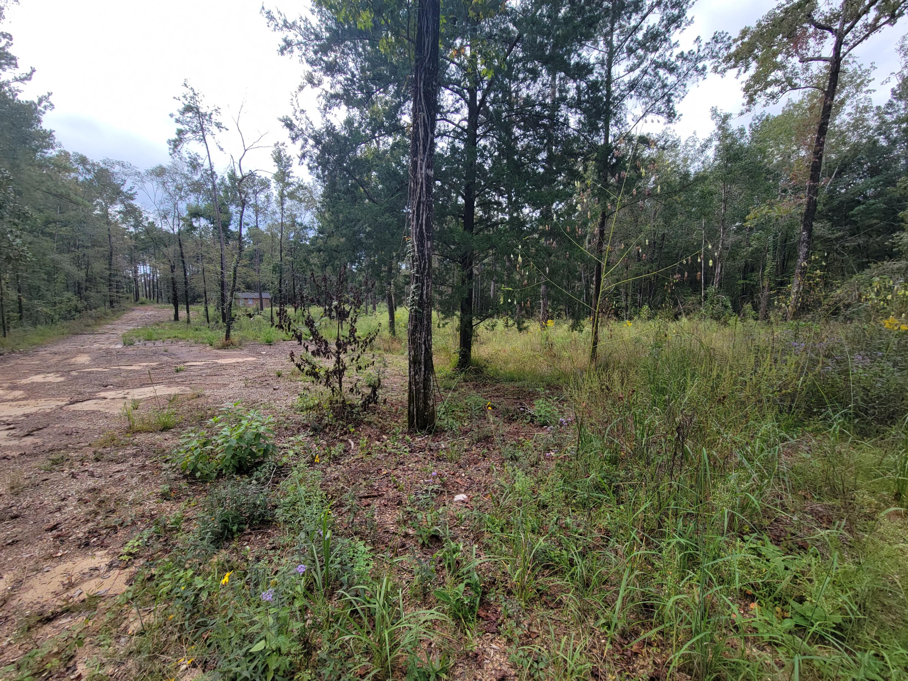 33.29 acres near South Walton. Great location for building a house or log cabin style home or using for a hunting camp. There is an unfinished storage building , (no value). Property does have a well (no septic and no power pole) Spears Creek runs in and out of the property.