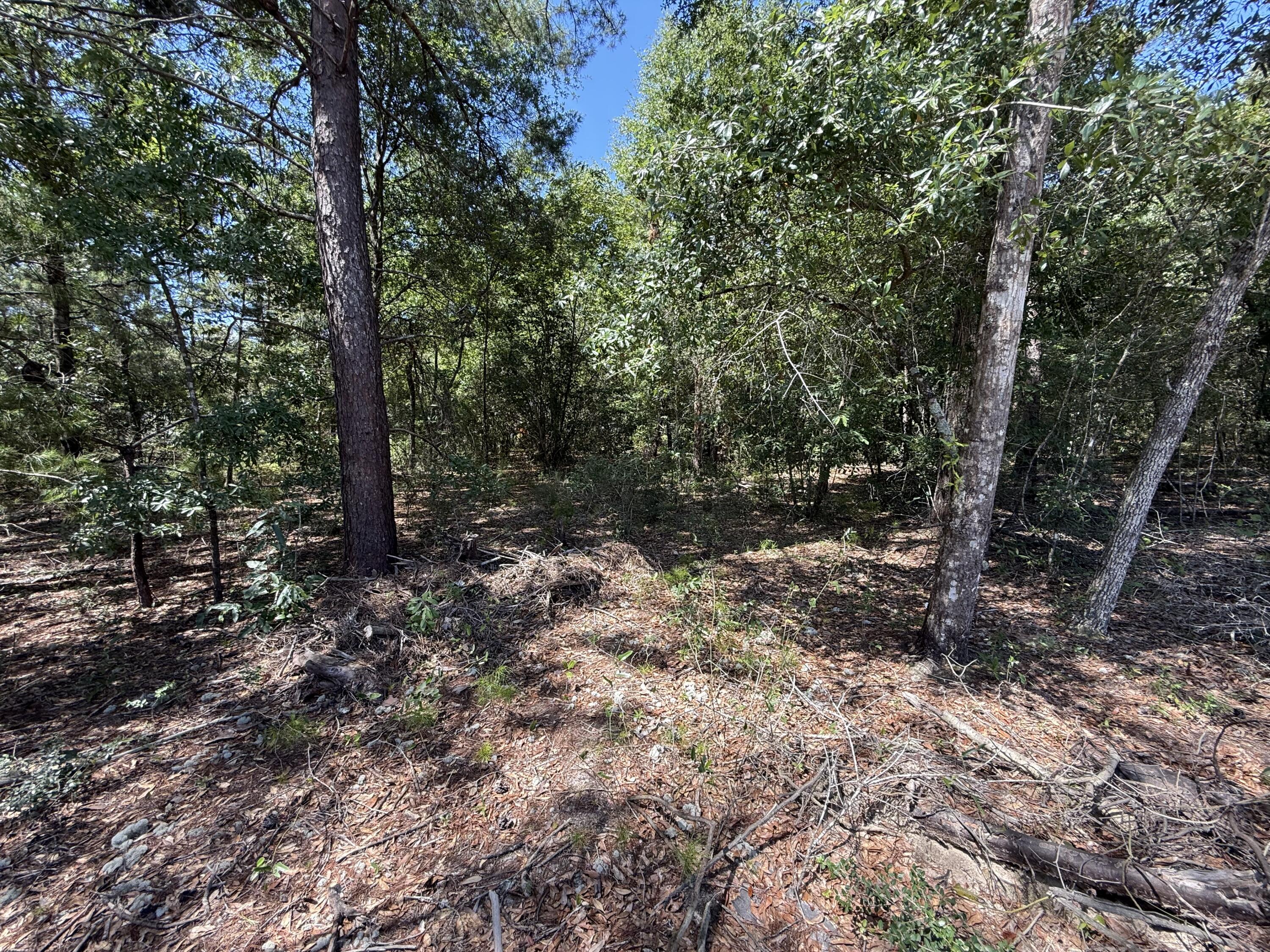 OAKWOOD HILLS UNIT 3 - Land