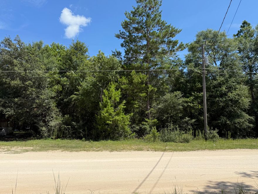 Wooded Homesite - 23 Acres Between DeFuniak Springs & MossyheadDon't miss this opportunity to own a beautifully wooded .23-acre homesite conveniently located between DeFuniak Springs and Mossyhead, FL. This peaceful parcel offers the flexibility of mobile homes allowed, no HOA, and minimal restrictions..a perfect spot to create your ideal getaway or permanent residence.Property Highlights:City water available (tap fee due)Power available at the roadSeptic system requiredFlood Zone X - no flood insurance requiredPer Walton County GIS, the property does not appear to contain wetlandsWith easy access to I-10 and CR 285 South, this location is ideal for commuters and travelers alike....whether you're heading to Crestview, Niceville, or the the sandy shores of the Emerald Coast. You're only 30-45 minutes from beaches, major employment hubs, and the vibrant waterfront lifestyle of Crab Island and beyond.

Whether you're looking for a quiet homesite with elbow room or an investment in one of Florida's growing regions, this property is well worth a look.

All information is deemed accurate but not guaranteed. Lot dimensions and details should be independently verified by buyer. Measurements based on CRS Property Data Report.