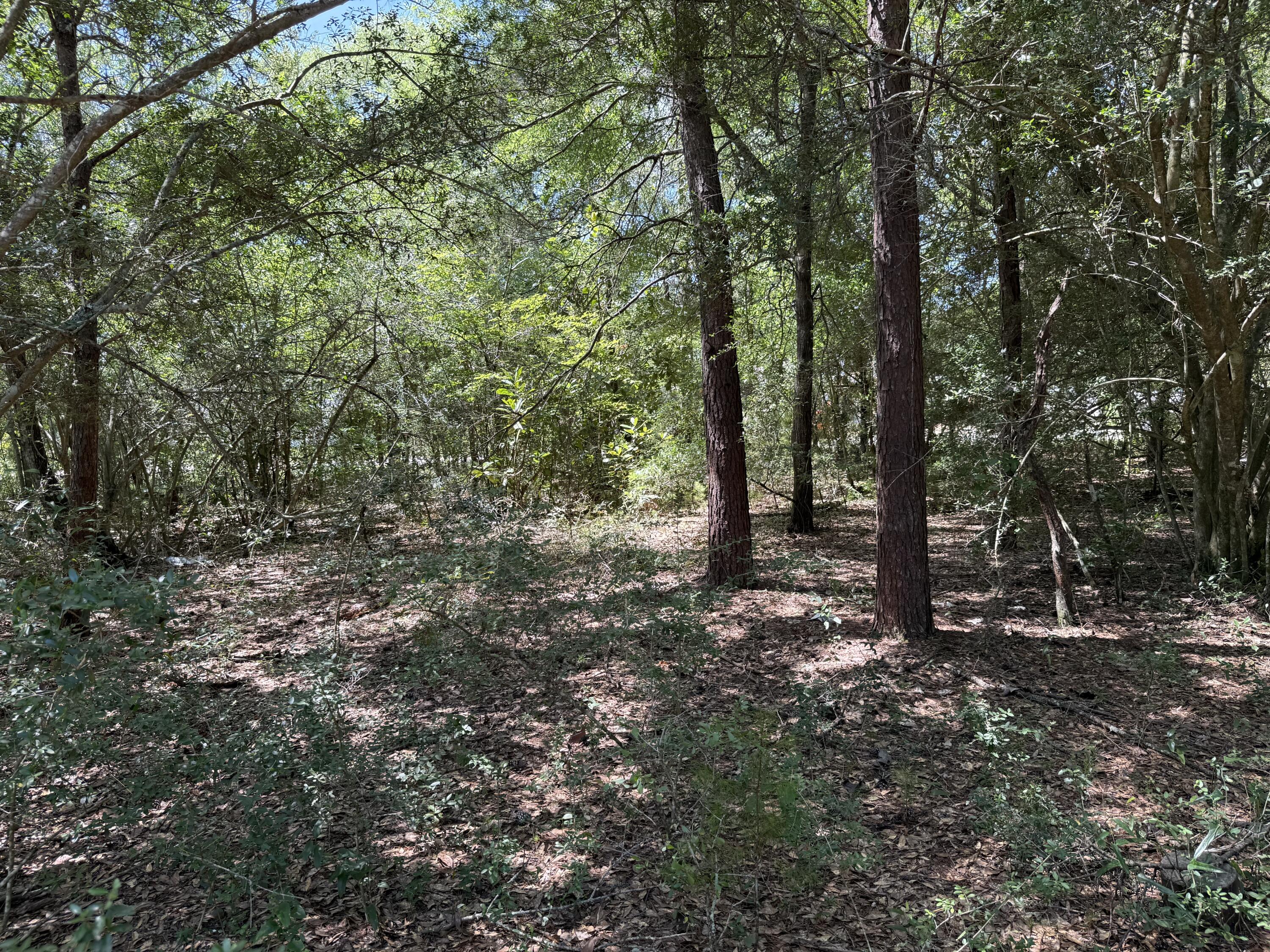 OAKWOOD HILLS UNIT 3 - Land