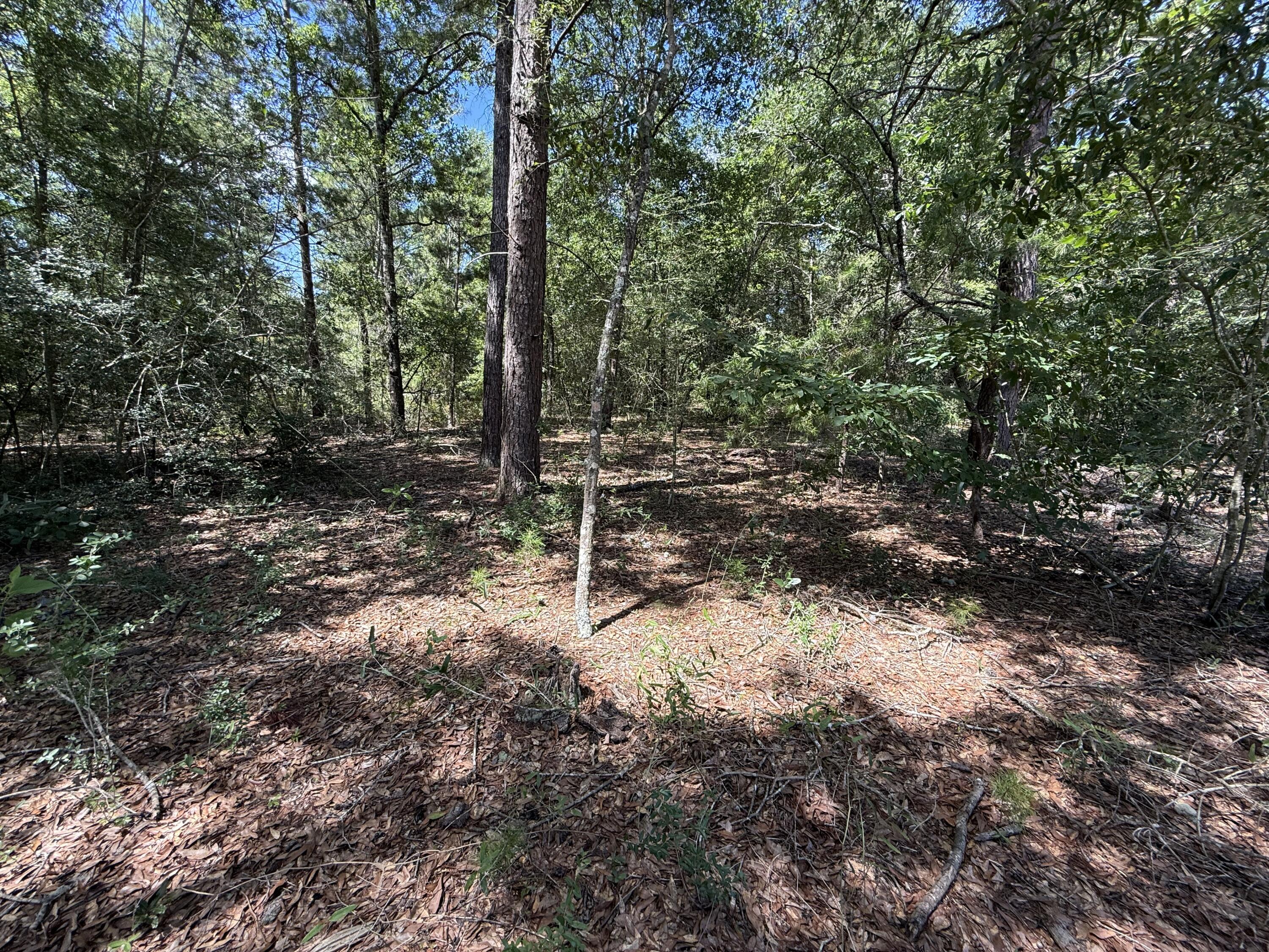 OAKWOOD HILLS UNIT 3 - Land