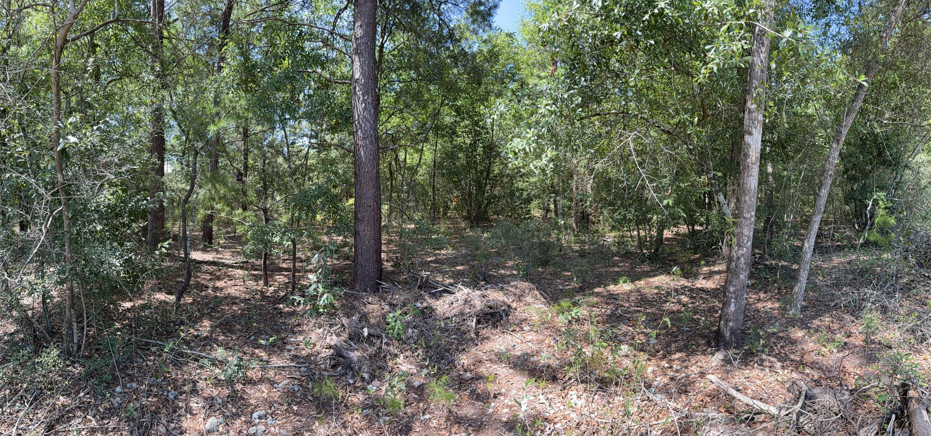 OAKWOOD HILLS UNIT 3 - Land