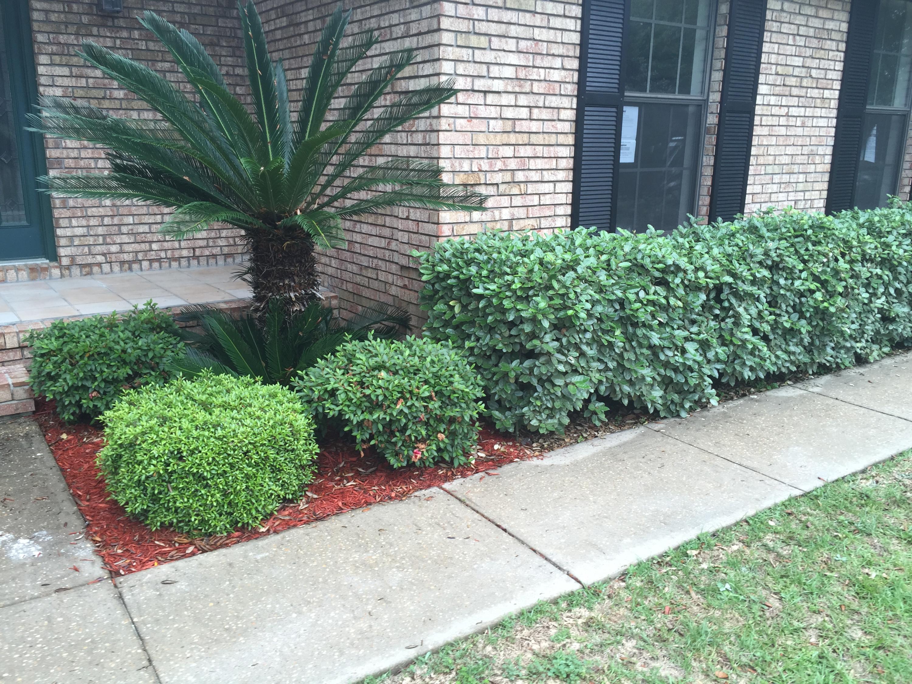 PLANTATION OAKS S/D - Residential