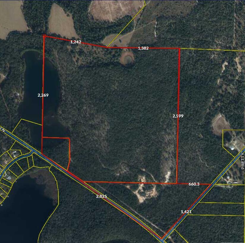 ATTENTION INVESTORS, OUTDOOR ENTHUSIASTS, HUNTERS OR FISHERS! Looking for an investment? Privacy? Family get away? Now is the time to consider one of the largest, nicest parcels DeFuniak has to offer. With roughly 190 acres, this is sure to impress! Private Spring fed Buffalo Lake is stocked with bass, bream, and all kinds of different fish. Land is loaded with turkey, deer, hog, and all sorts of wildlife! An American Bald Eagle has even been spotted, in its nest close by! With over 2800' of 331 road frontage and 2200' of waterfront this multizoned (Gen Ag, Heavy Industrial, and Rural Village) property is one to have for sure! Located close to all Defuniak has to offer! Do not pass this up today!