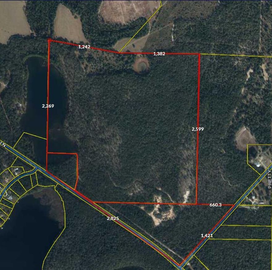 ATTENTION INVESTORS, OUTDOOR ENTHUSIASTS, HUNTERS OR FISHERS! Looking for an investment? Privacy? Family get away? Now is the time to consider one of the largest, nicest parcels DeFuniak has to offer. With roughly 190 acres, this is sure to impress! Private Spring fed Buffalo Lake is stocked with bass, bream, and all kinds of different fish. Land is loaded with turkey, deer, hog, and all sorts of wildlife! An American Bald Eagle has even been spotted, in its nest close by! With over 2800' of 331 road frontage and 2200' of waterfront this multizoned (Gen Ag, Heavy Industrial, and Rural Village) property is one to have for sure! Located close to all Defuniak has to offer! Do not pass this up today!