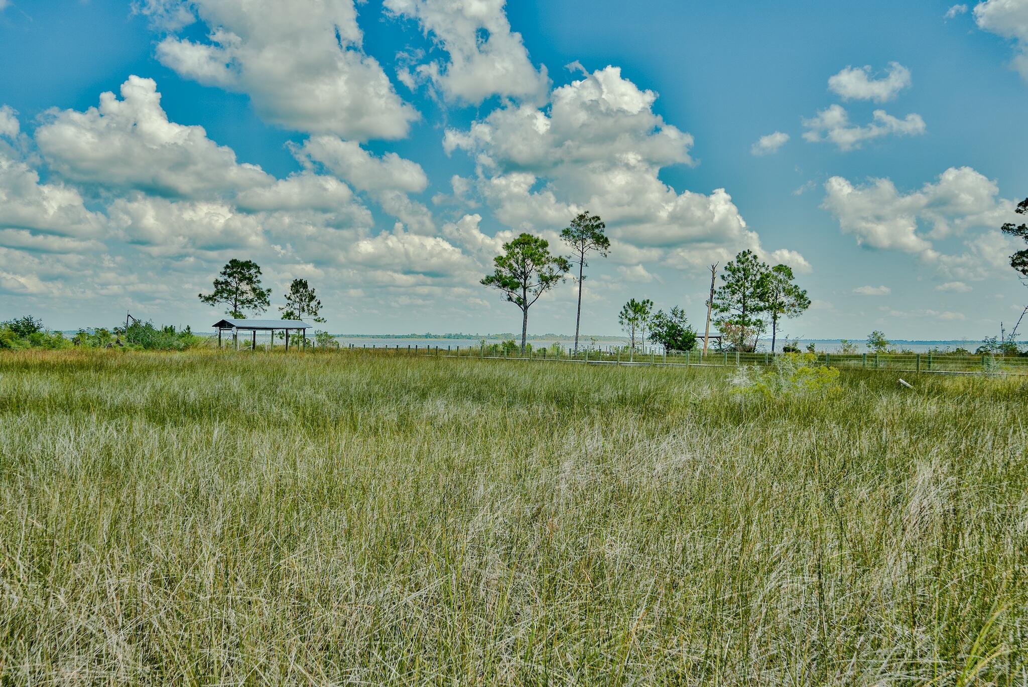 BAY MAGNOLIA - Residential