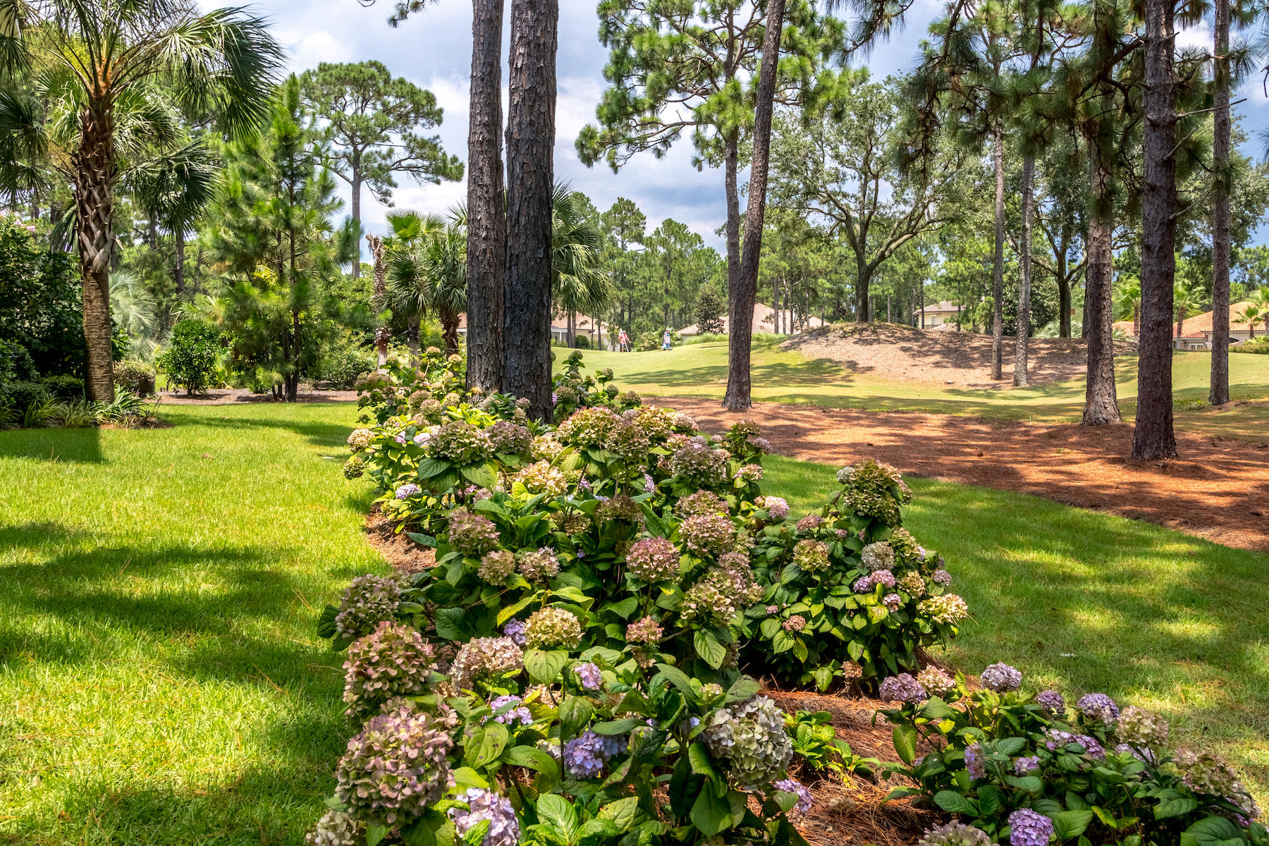 ISLAND GREEN - Residential