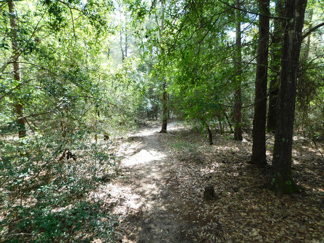 Cherry Hills - Residential