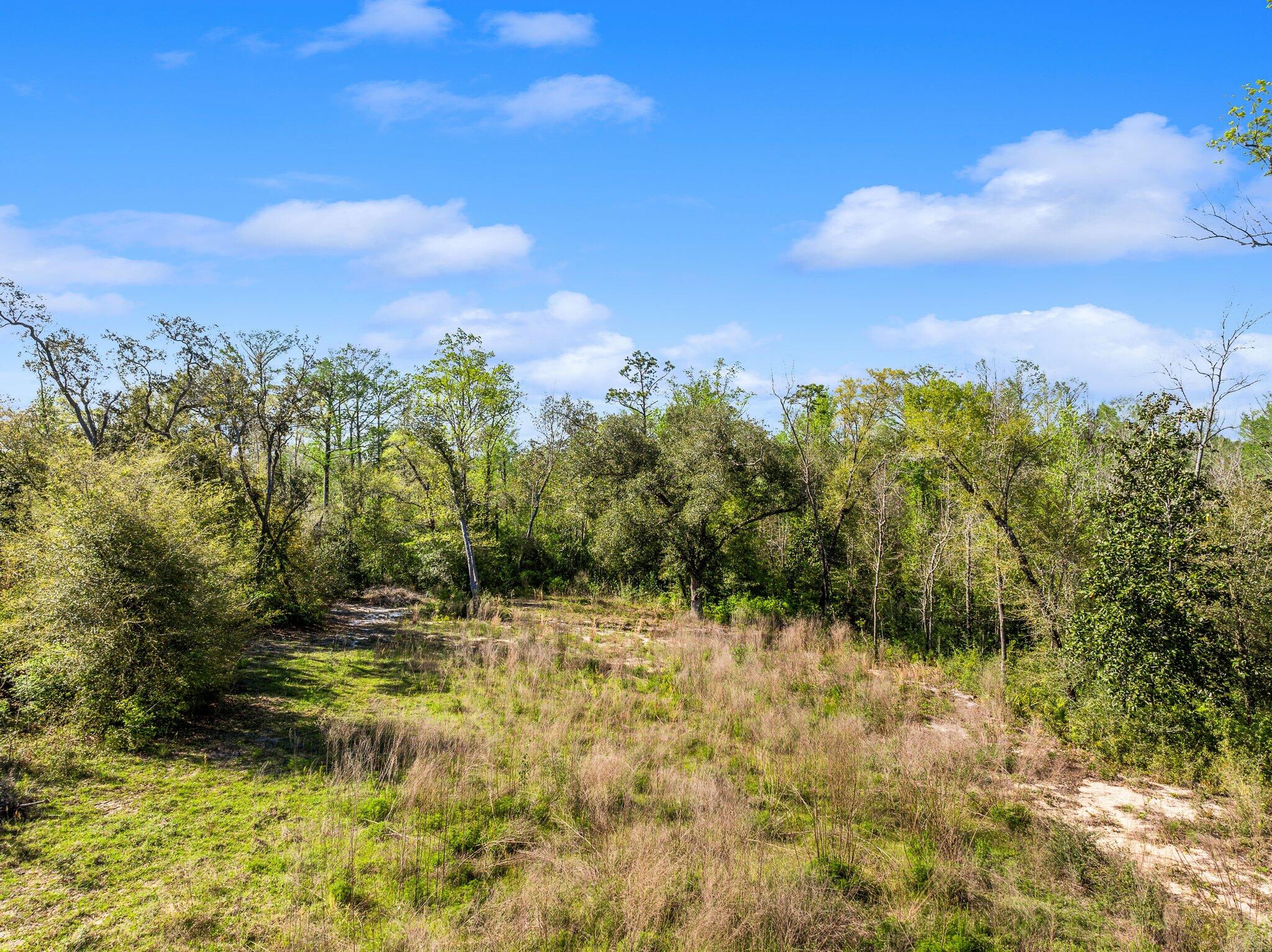 Cedar Creek Chase - Land