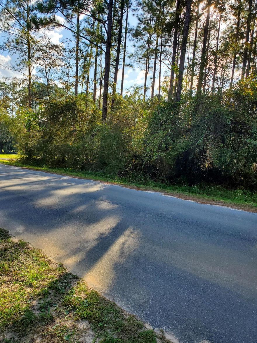 Just 15 minutes from Crestview.  Rural vacant wooded 2.3+ acres on paved road.  City water and electricity are at the road.  Great area to build your new home.  All dimensions are approximate.  Buyer to verify all matters of importance.
