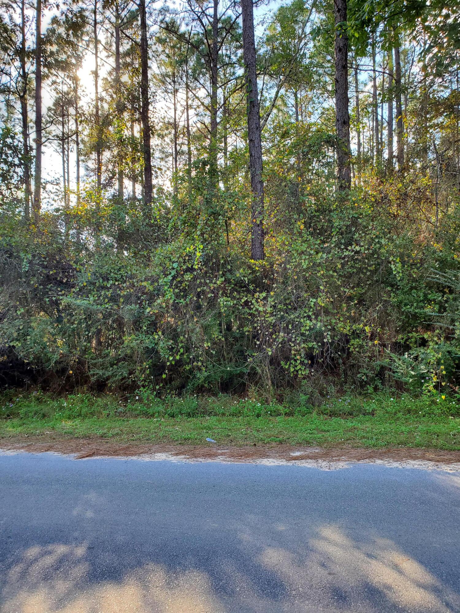 Unrecorded S/D Four Flags Estates - Land