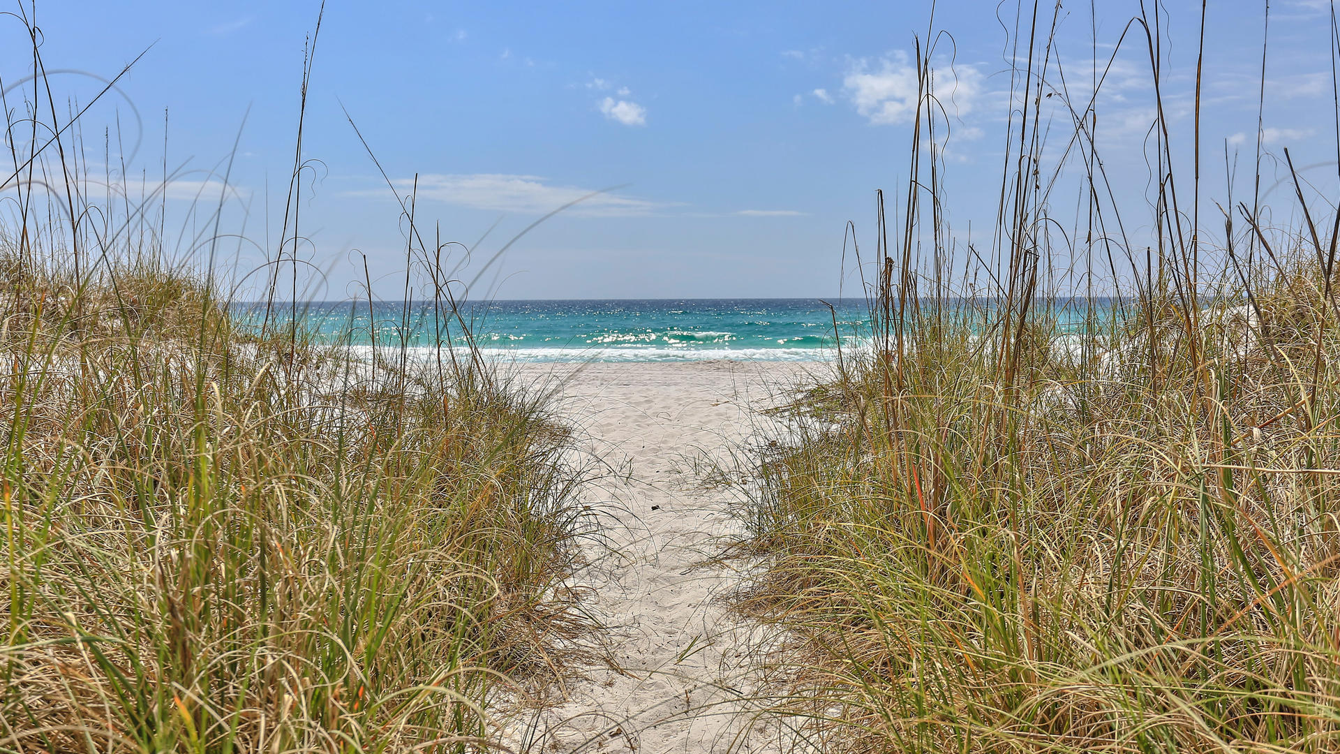 Sanddollar Townhomes - Residential