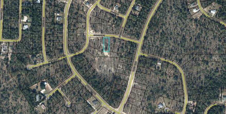 Nice .365 acre lot. Sunny Hills is an established subdivision with over 20K lots and is currently being developed with several national builders. Subdivision offers an 18 hole golf course with Clubhouse, numerous lakes with white sandy beaches for recreational activities such as swimming, boating, and fishing, churches, best of all with NO HOA fees! Need city life? Panama City Beach. Northwest Florida Beaches International Airport, and Pier Park shopping are approximately a 45 minutes drive. Approx. 20 miles from local shopping, medical, and other local amenities in Chipley. Electricity is on the road in front of lot according to county.