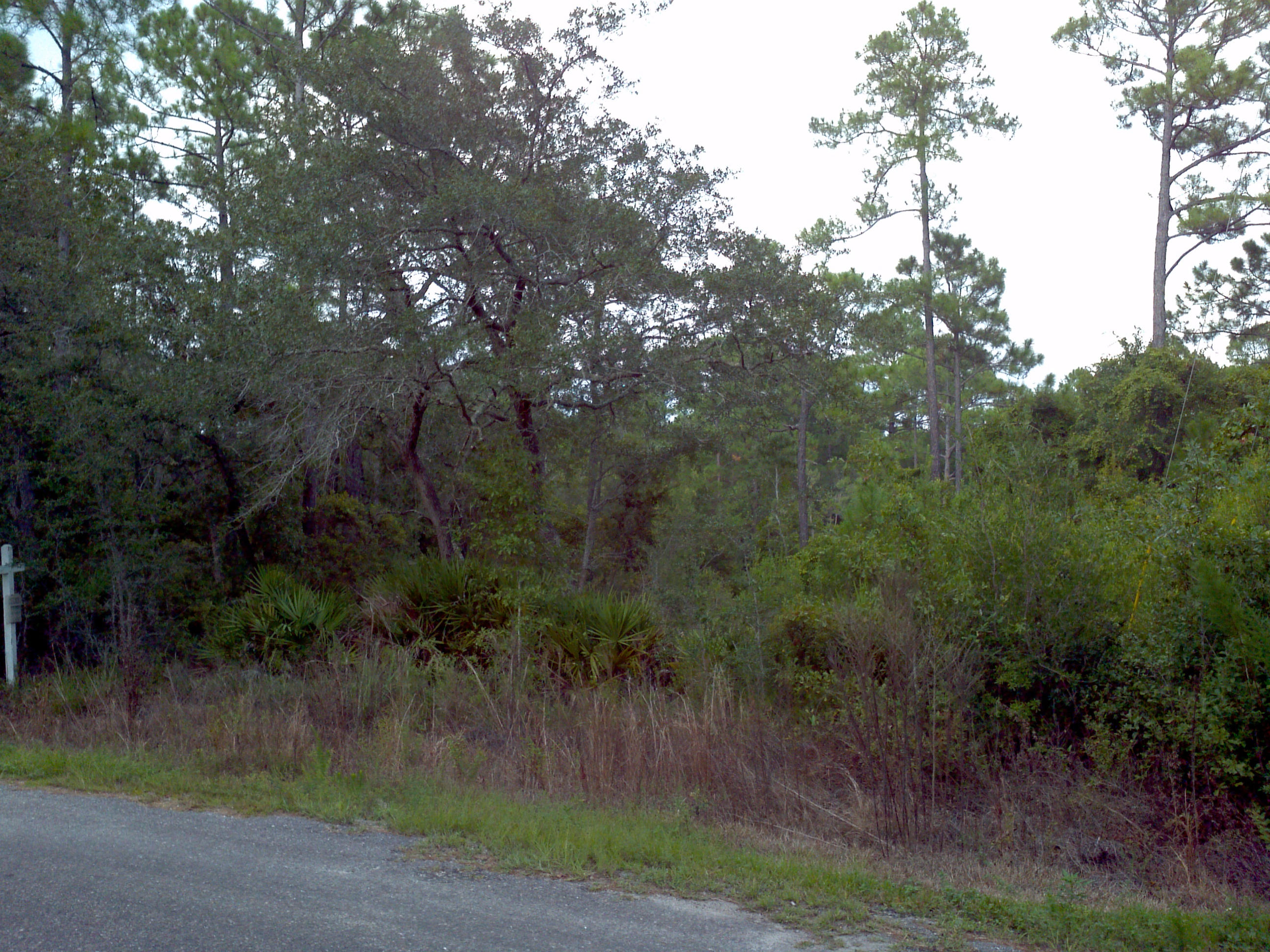 Bank Owned REO Lot In Bay Pine Shores. This Is Your Opportunity To Own A Waterfront Lot In South Walton At A Great Price. Even Has A Dock in Place To The Water. Would Make A Great Homesite Or You Could Hold For Investment. The Time Is Now To Buy A Waterfront Lot. Call Today To Make This Lot Yours!