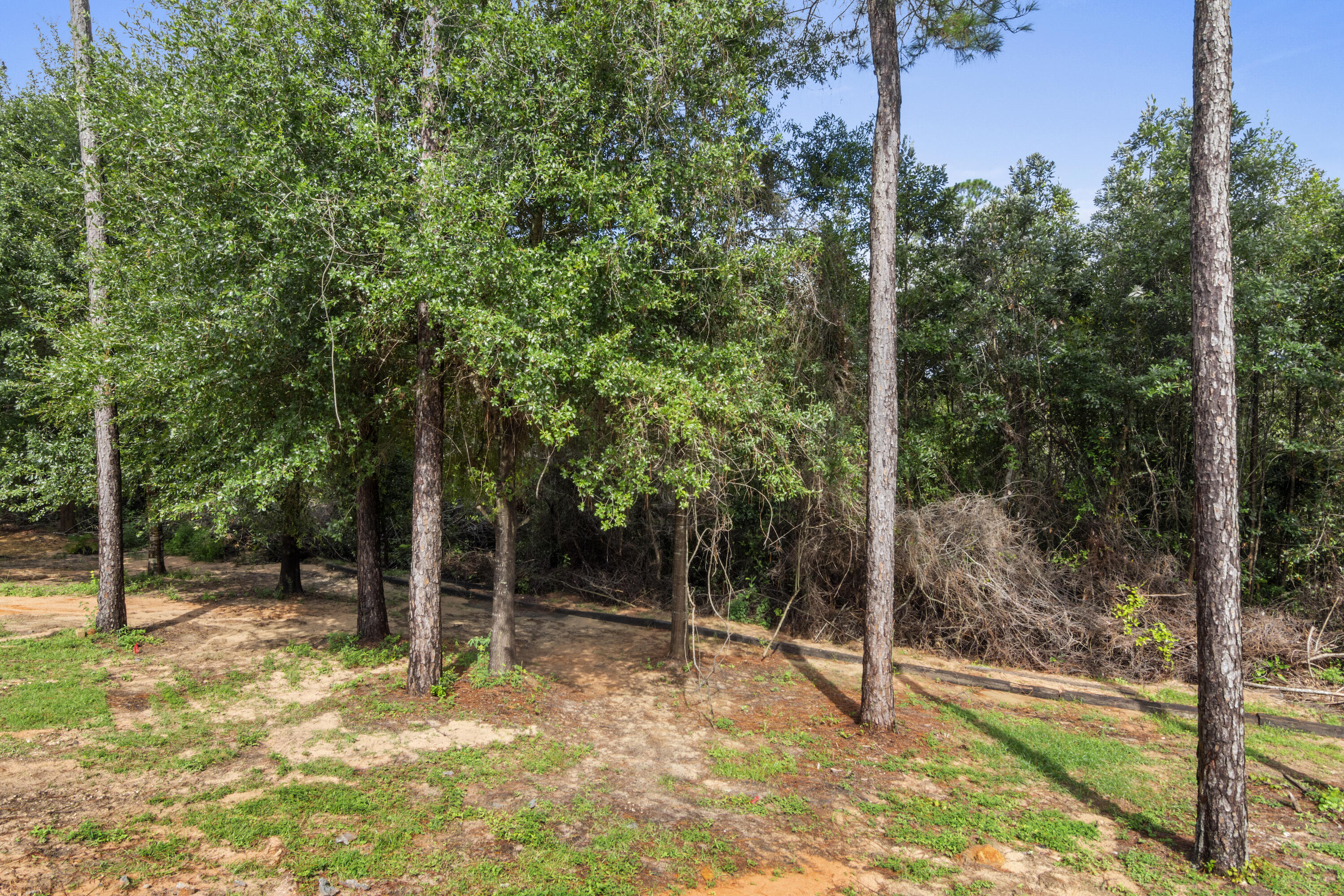 ALICIA PLACE - Residential Lease