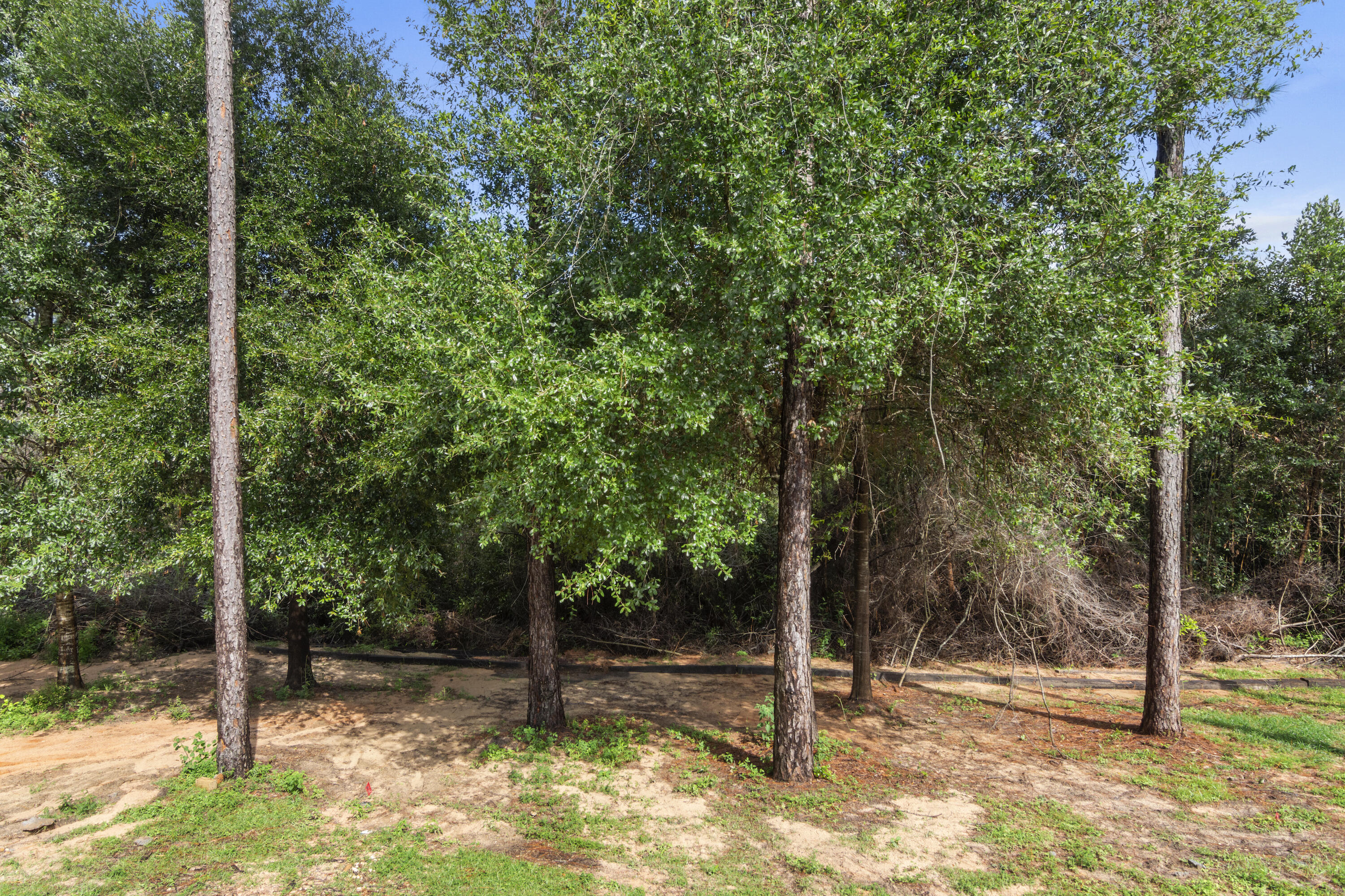 ALICIA PLACE - Residential Lease