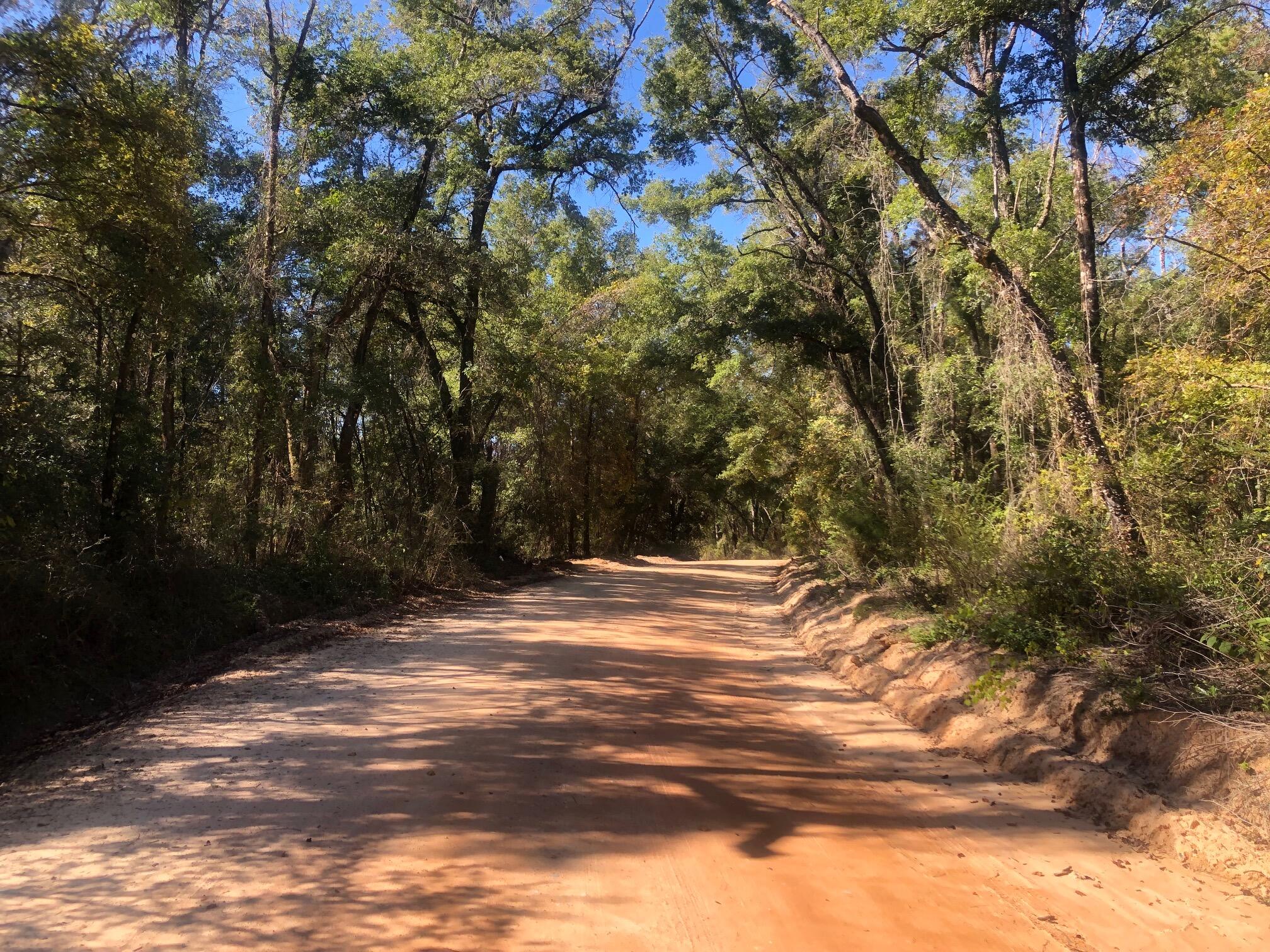 Enjoy country living on 5 acres of land in Washington County and bask in the peace and privacy. This lot is located on a peaceful street and offers plenty of space to build your dream home with an outdoor oasis! The Choctaw River is just at the end of this road and is a great spot to make lasting memories. Jenkins Landing features a boat ramp and a pavilion area with picnic tables, perfect for hosting family and friends by the river! Check out this beautiful lot today!