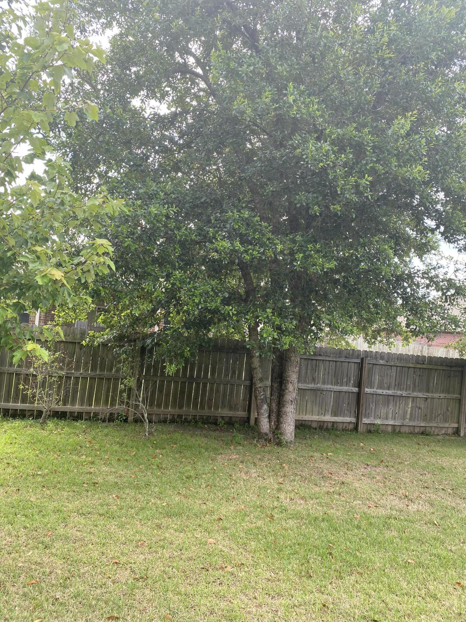 Terra Bella - Residential Lease