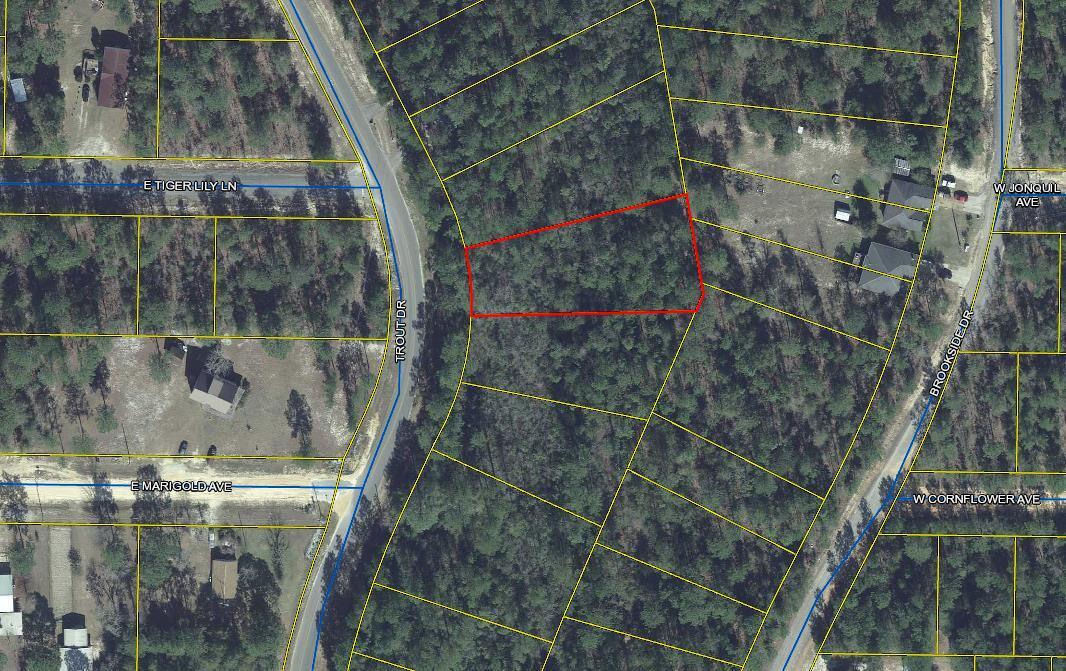 LARGE LOT IN MOSSY HEAD -- Bring Us An Offer! Located on paved Trout Drive. There is a Mossy Head Water District water line that runs along Trout Drive. Tap Fee is due. This lot has a spring running across it. Bring us an offer. Acreage is measured from Property Appraiser's website. No Survey. Measurements and acreage and suitability for intended use to be confirmed by Buyer at Buyer expense.
