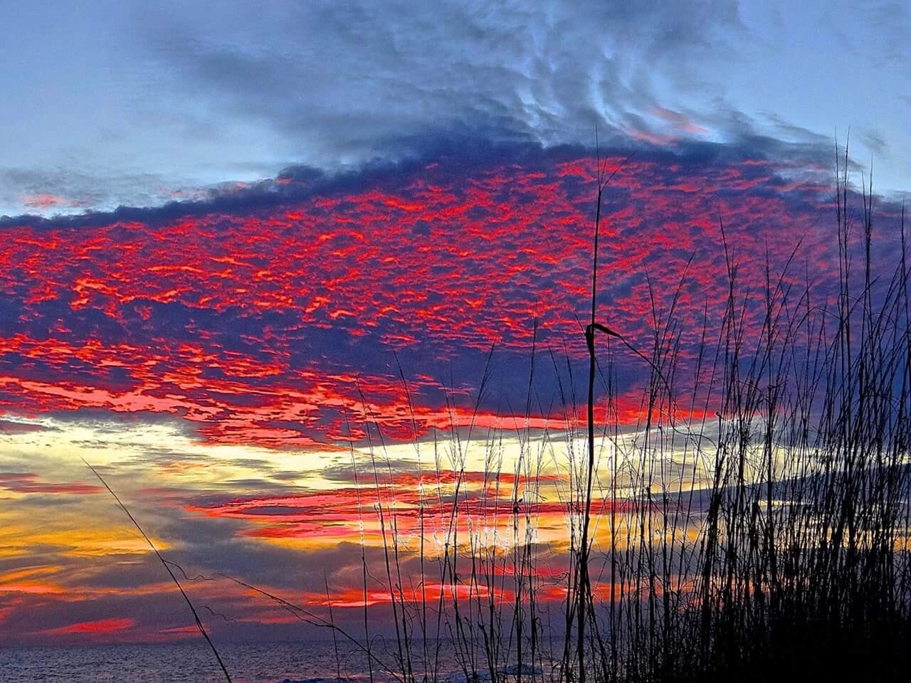CYPRESS DUNES - Residential