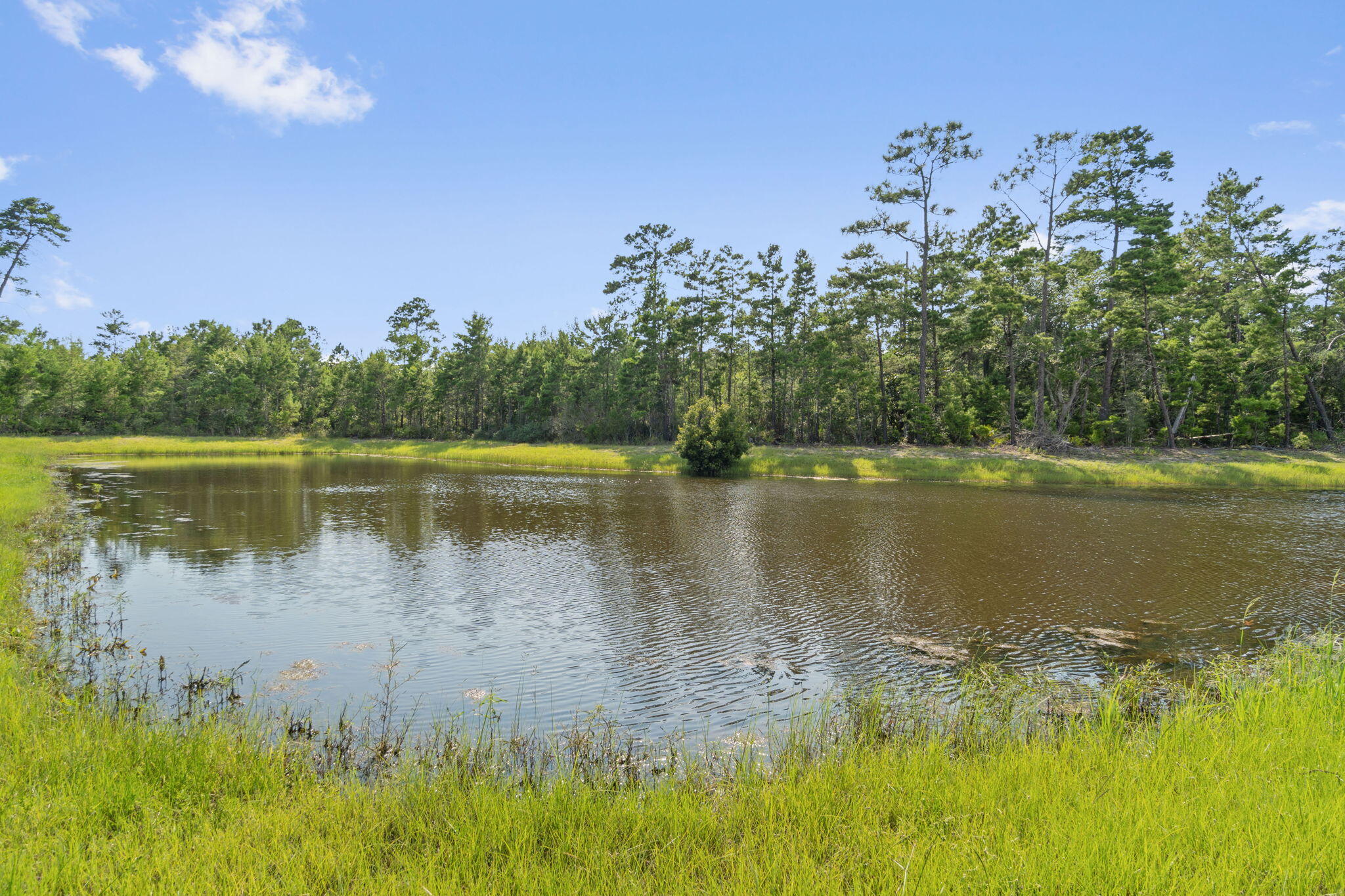 The Preserve at Paradise Cove - Residential