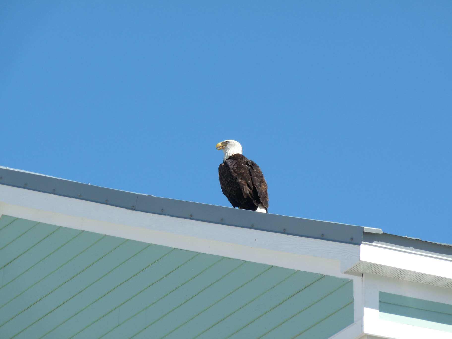 Navarre Beach - Residential