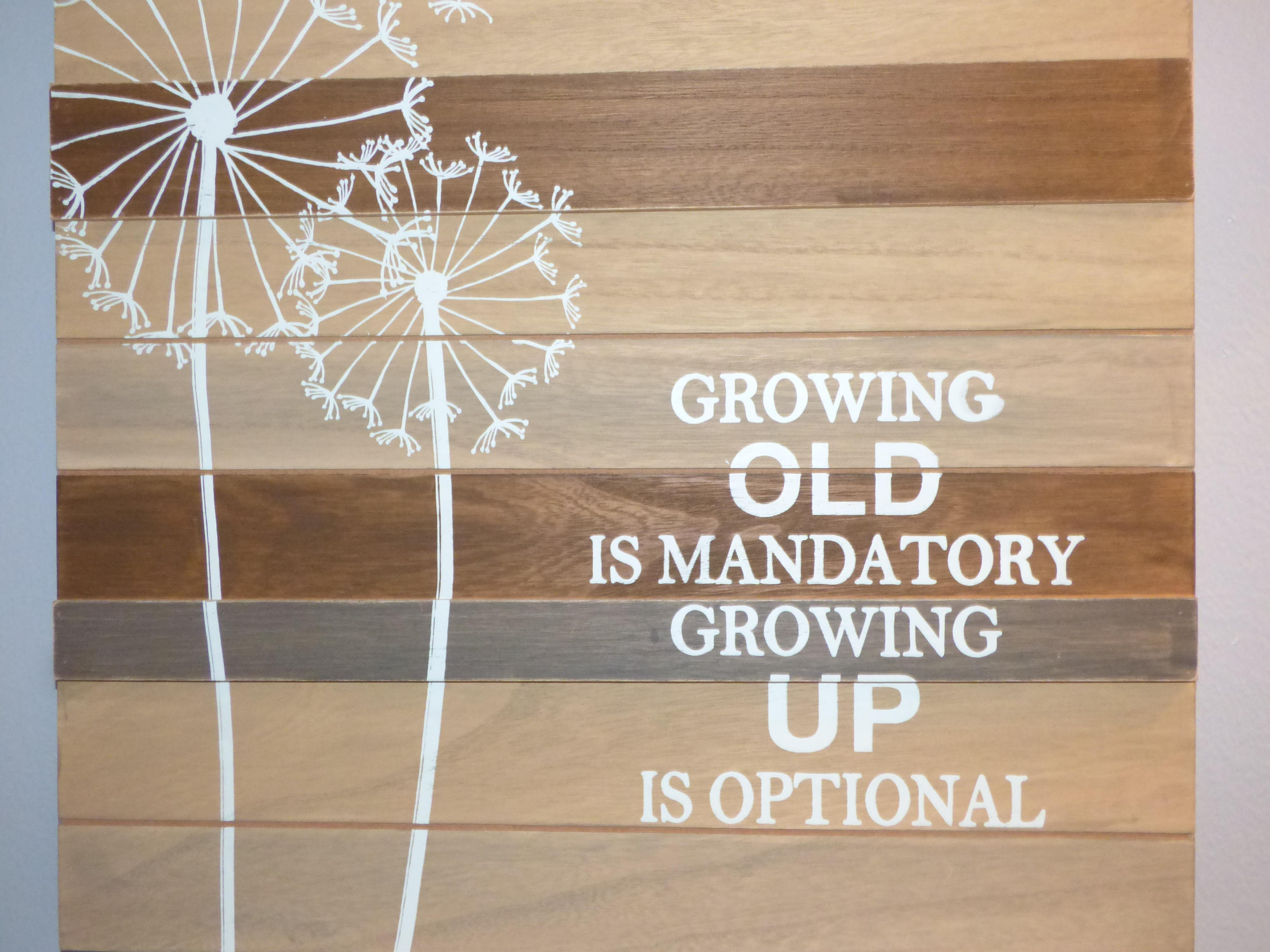 TERRACE AT PELICAN BEACH - Residential