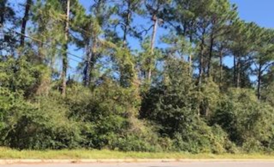 COMMERCIAL VACANT LOT ***250' ROAD FRONTAGE***. A GREAT OPPORTUNITY to build your own business! This Property is located in Commerce Technology Park. Seller already has a completed SURVEY and SOIL tested. CALL FOR MORE INFORMATION.
