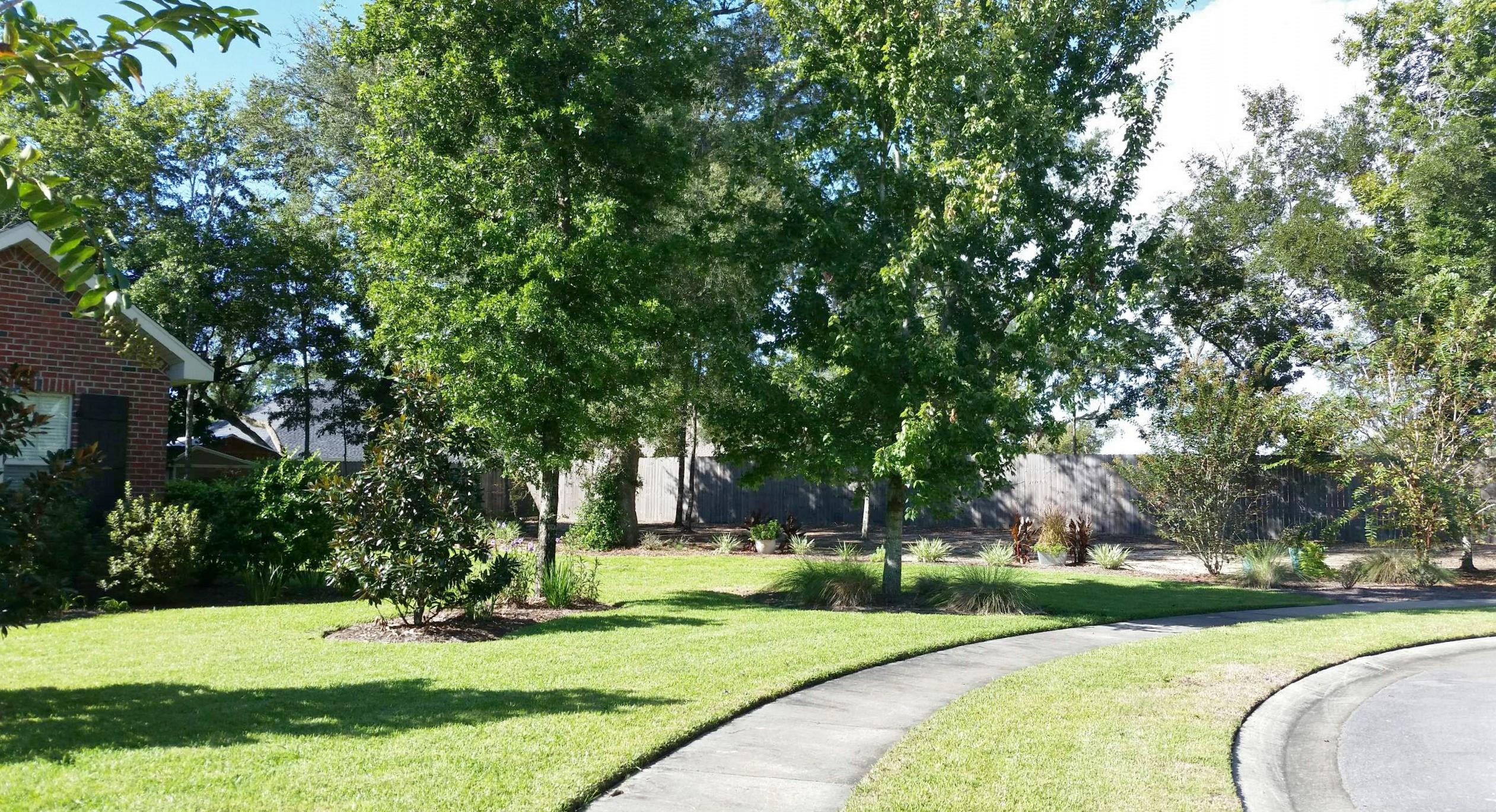 MAGNOLIA WOODS - Residential