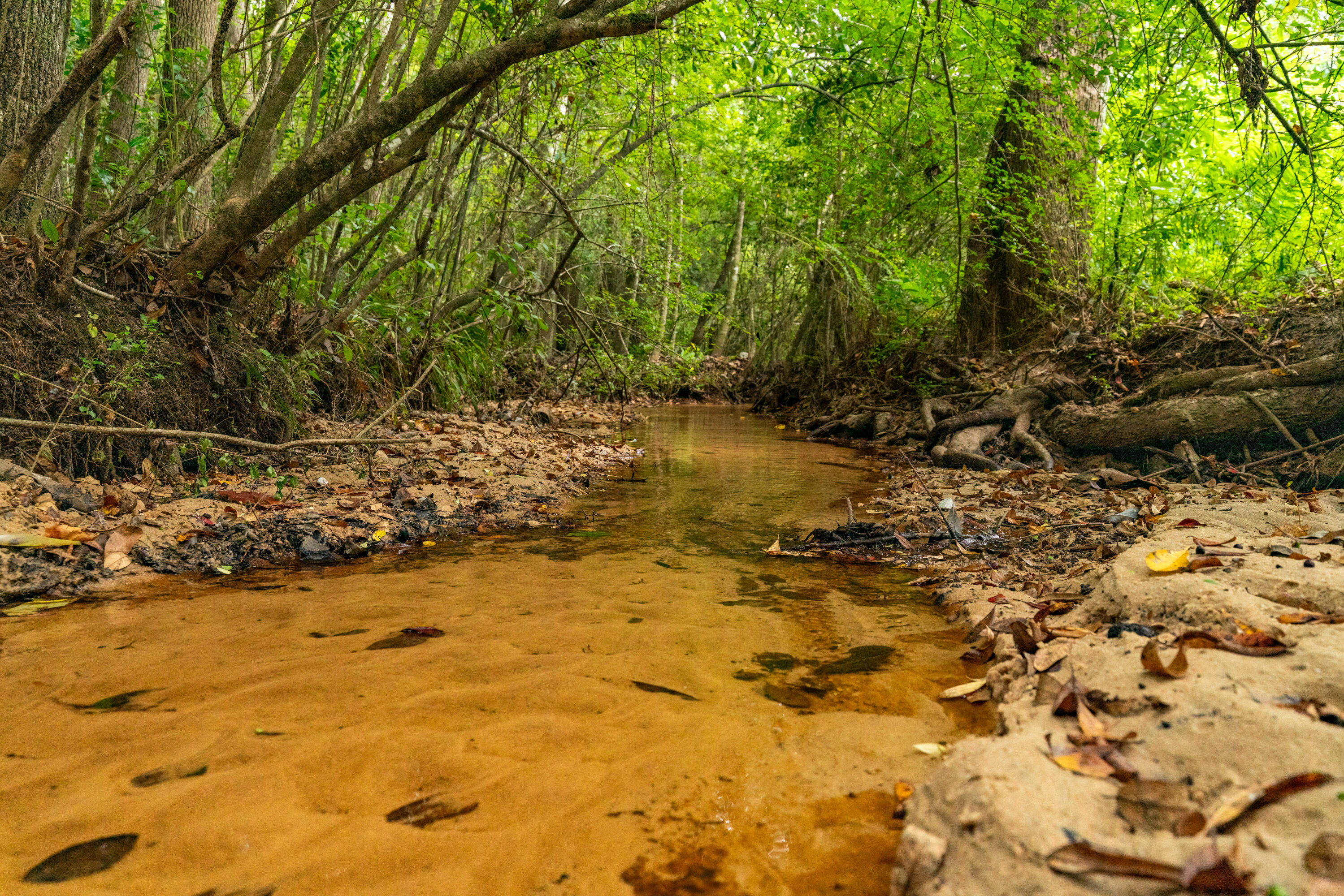 CINCO ADDN TO CRESTVIEW - Residential