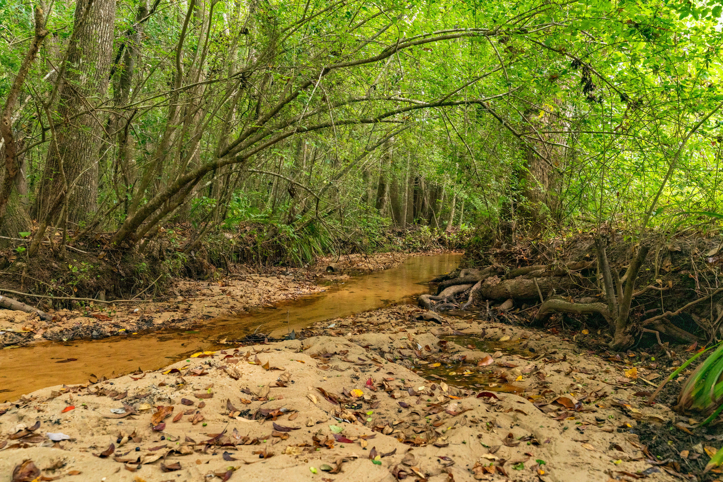 CINCO ADDN TO CRESTVIEW - Residential