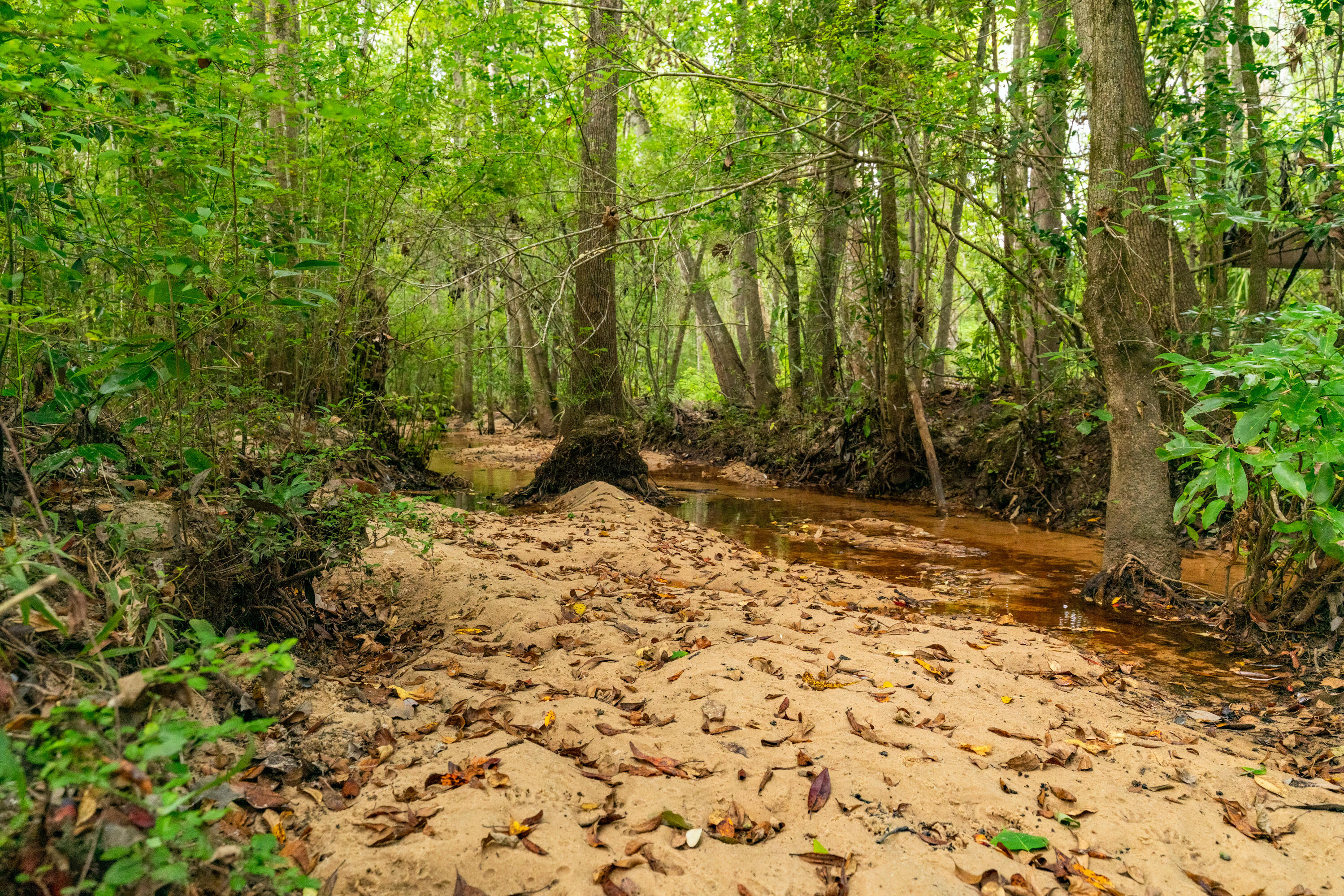 CINCO ADDN TO CRESTVIEW - Residential