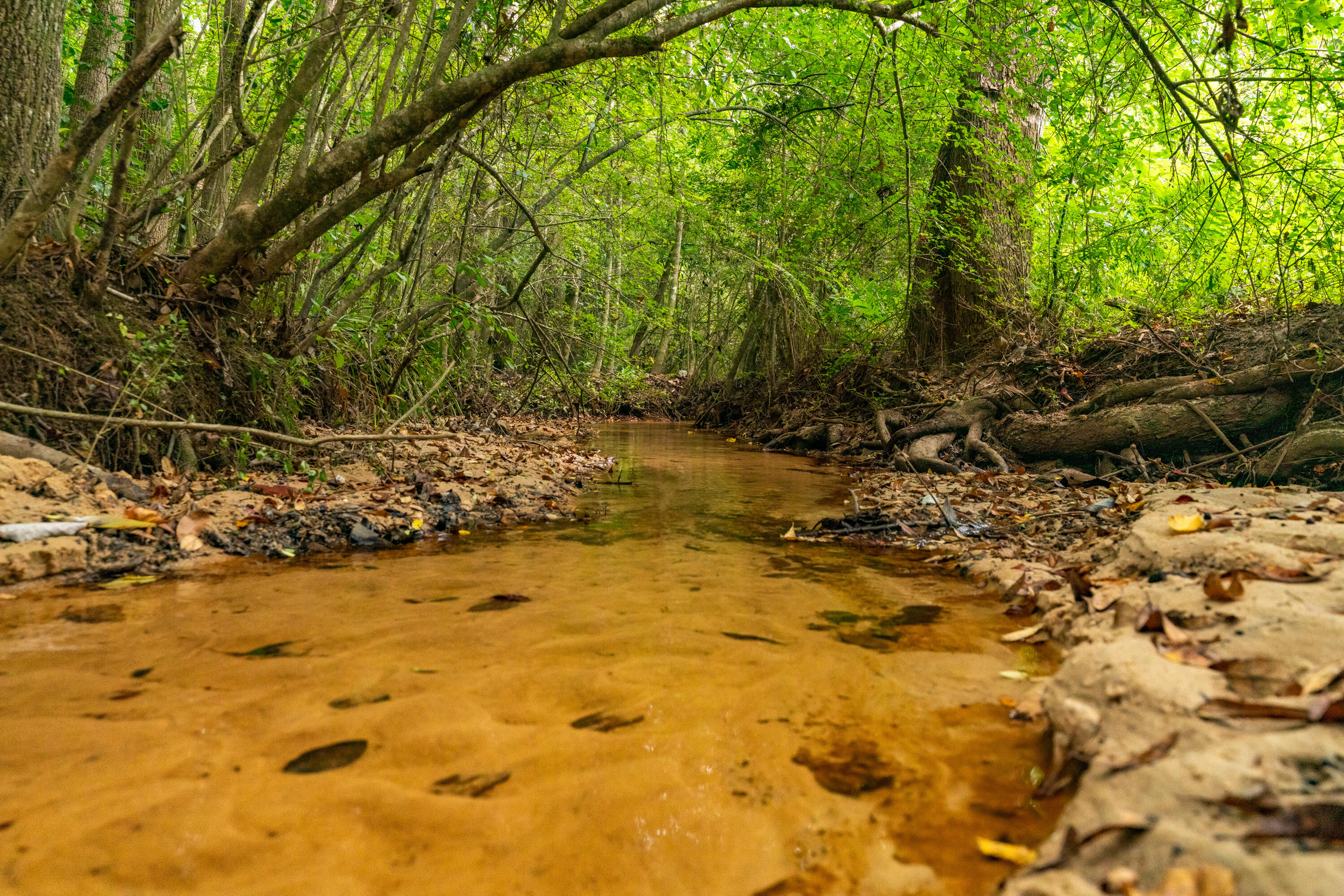CINCO ADDN TO CRESTVIEW - Residential