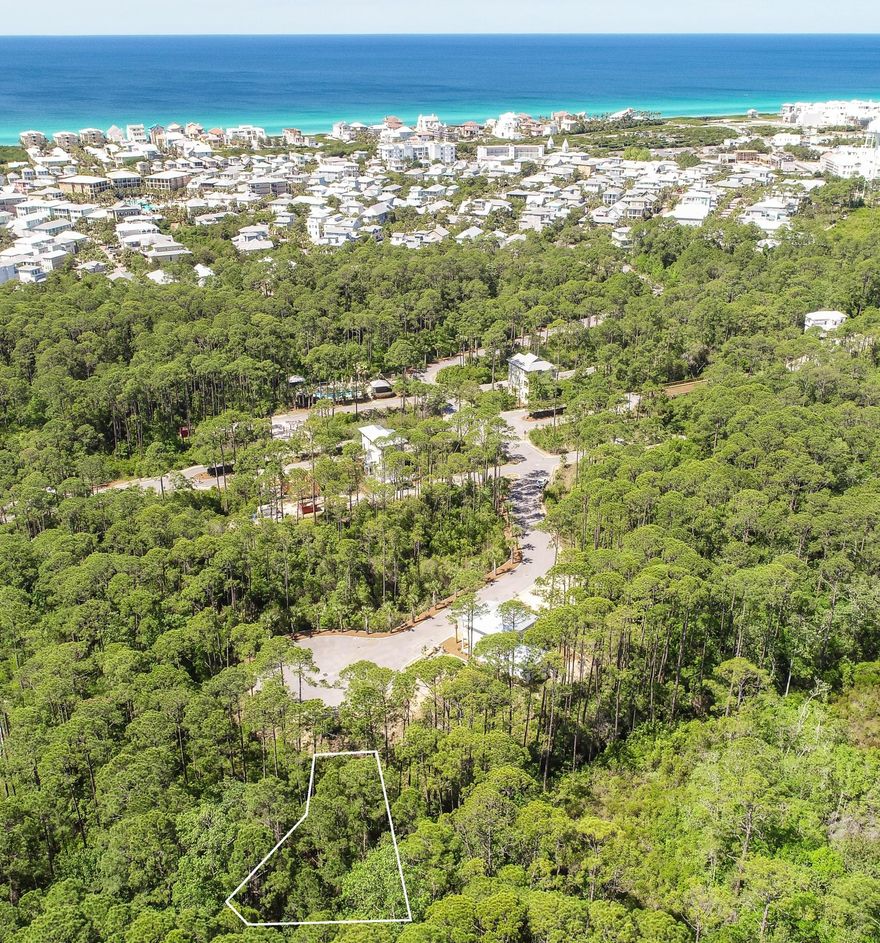Rare investment opportunity to own south of Hwy 98 between Rosemary and Alys Beach with deeded beach access at a great price. A beautiful private gated community with it's own pool, deeded beach access and access to Seacrest Beach and Rosemary Beach biking paths and trails, this lot is on a cul-de-sac and backs to preserve area with no build out time so hold and build later if you so desire. If you want more space, you can also purchase the neighboring lot 68 and build one home on both lots or two homes, one on each. Treetop is within a short bike ride, walk or golf cart ride to all of the wonderful shopping, restaurants and activities that 30-A has to offer as well as just across and down from the beautiful shops at 30 Avenue! Still tucked away for privacy but so close to everything