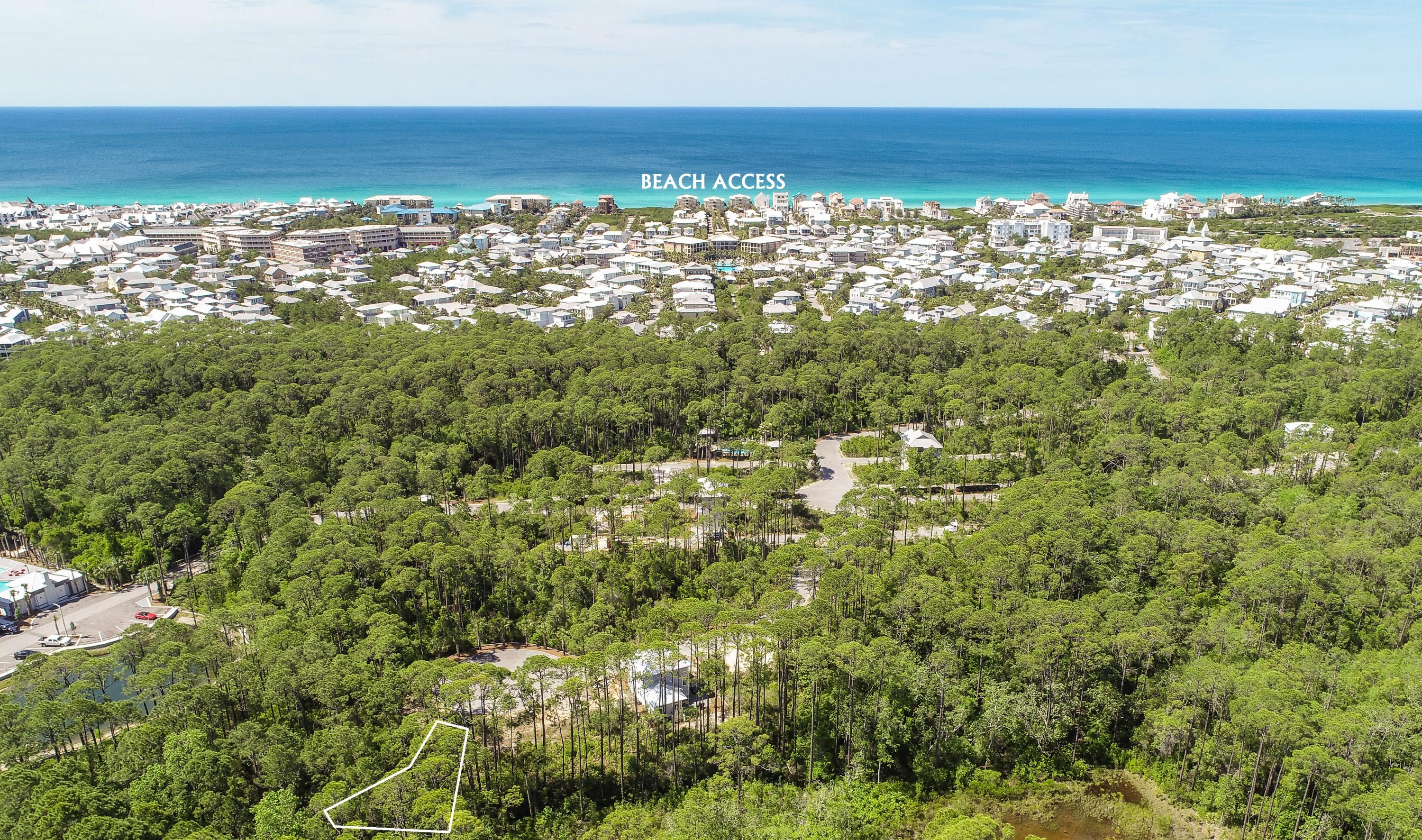 TREETOP - Land