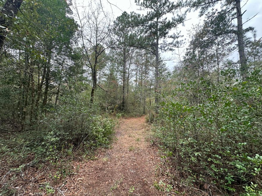 Located on 27+/- acres of wooded land, nestled within Crestview's expanding Auburn Garden City sub-area. Situated on Turkey Track Street, this expansive parcel presents a remarkable opportunity for development, investment, or the creation of a private sanctuary. Furthermore, additional land is available, creating potential for even more expansive projects.