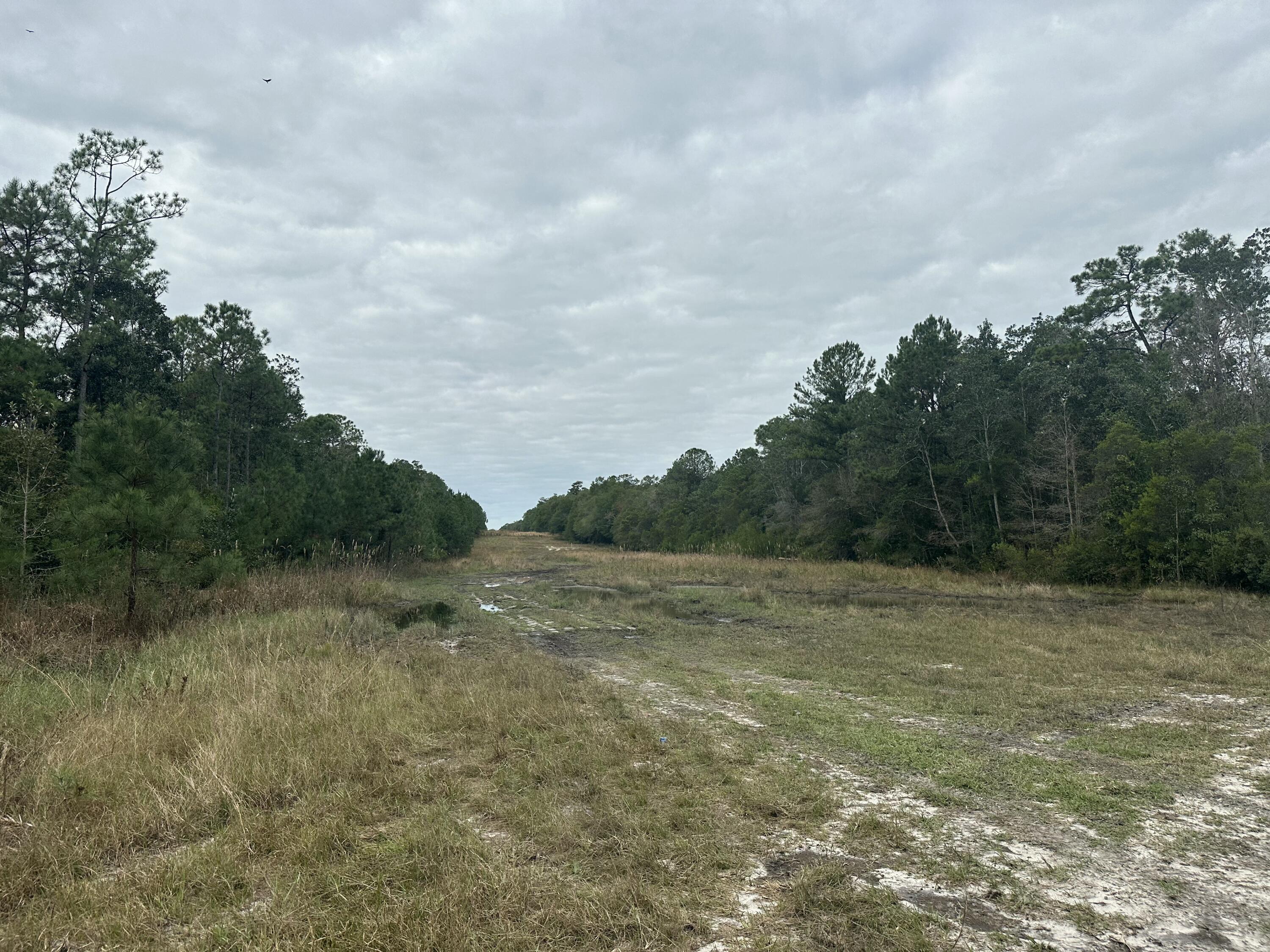 NO RECORDED SUBDIVISION - Farm